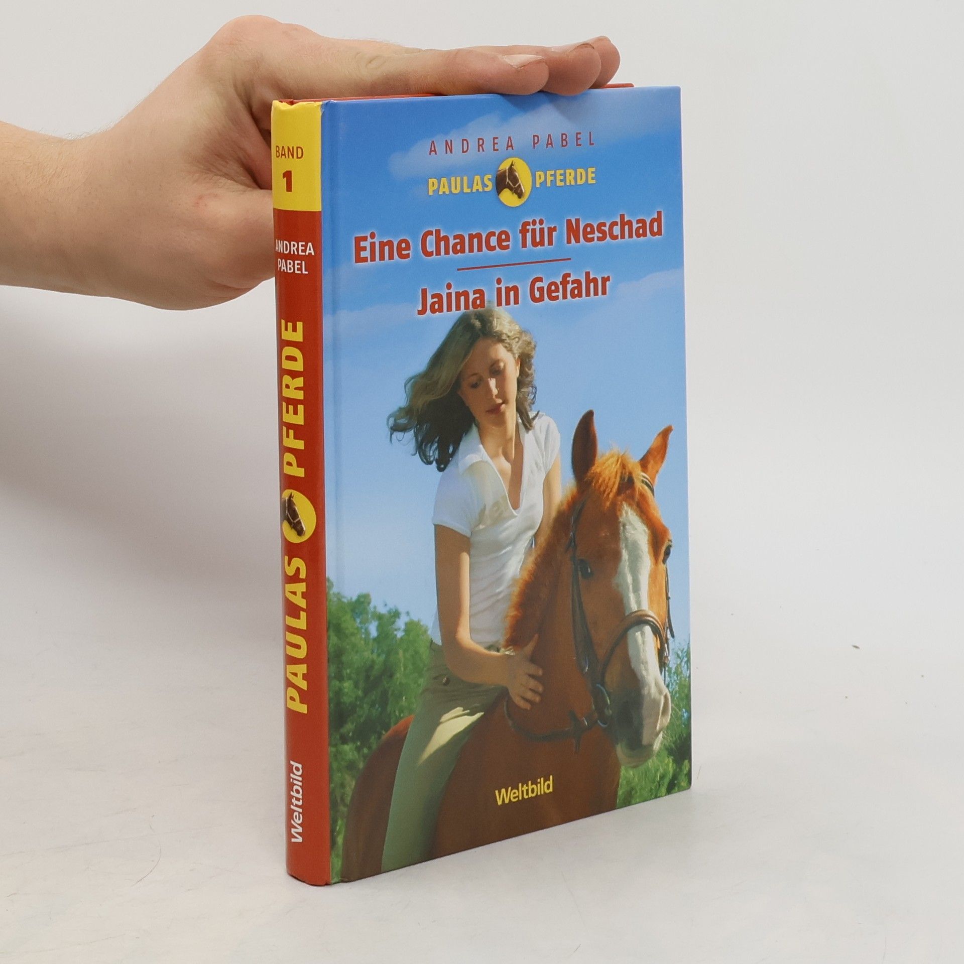 Andrea Pabel Paulas Pferde. Band 2