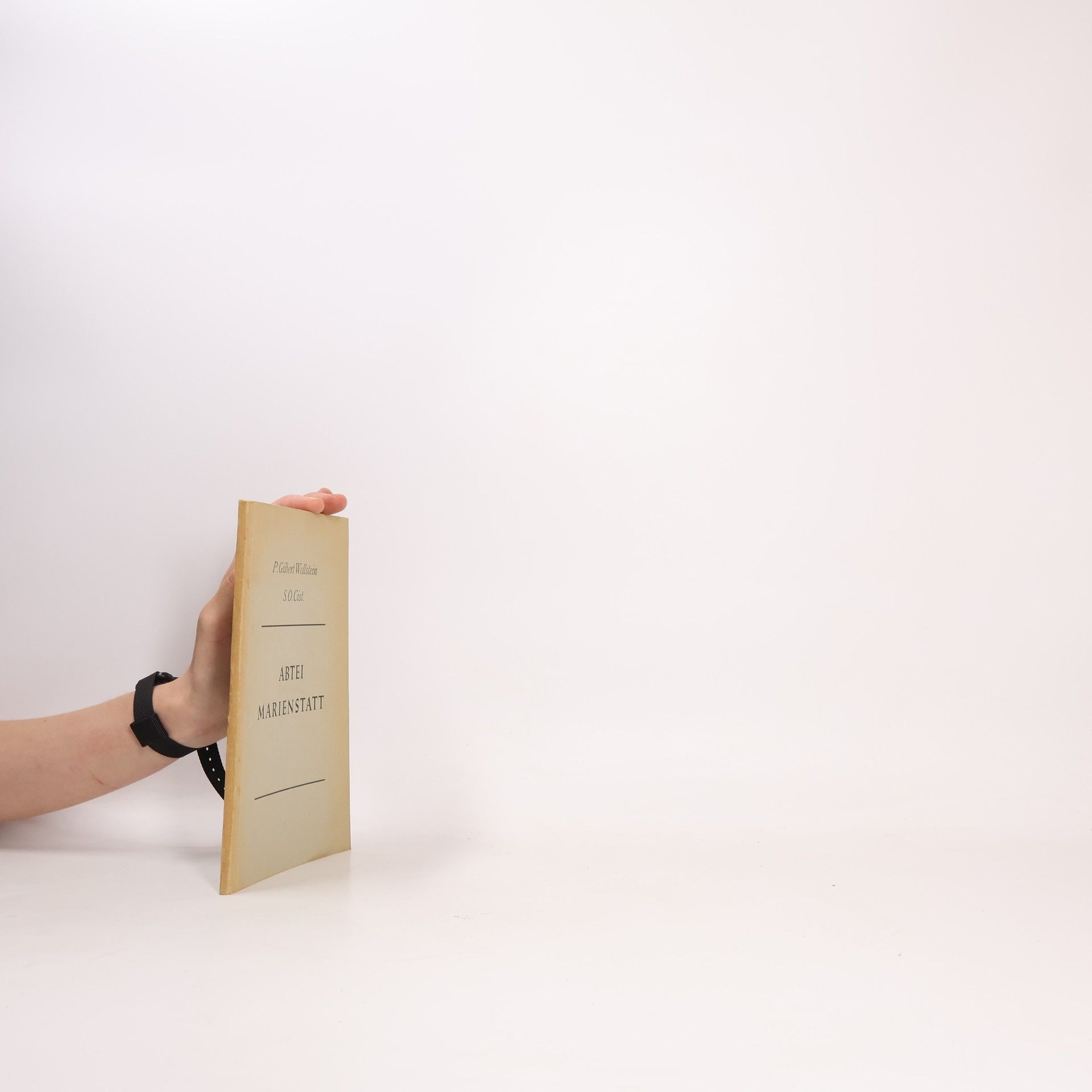 Gilbert Wellstein Abtei Marienstatt