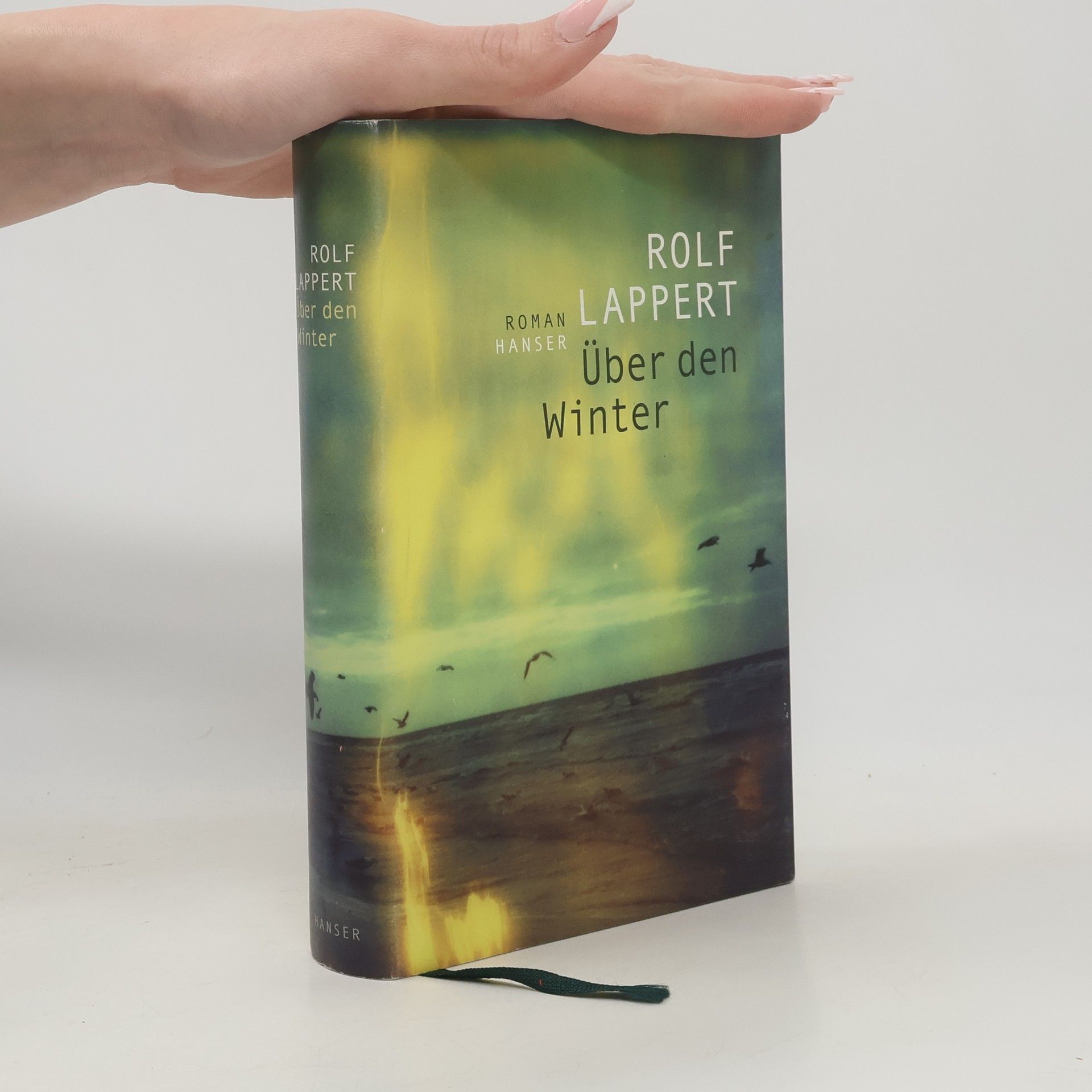 Rolf Lappert Über den Winter