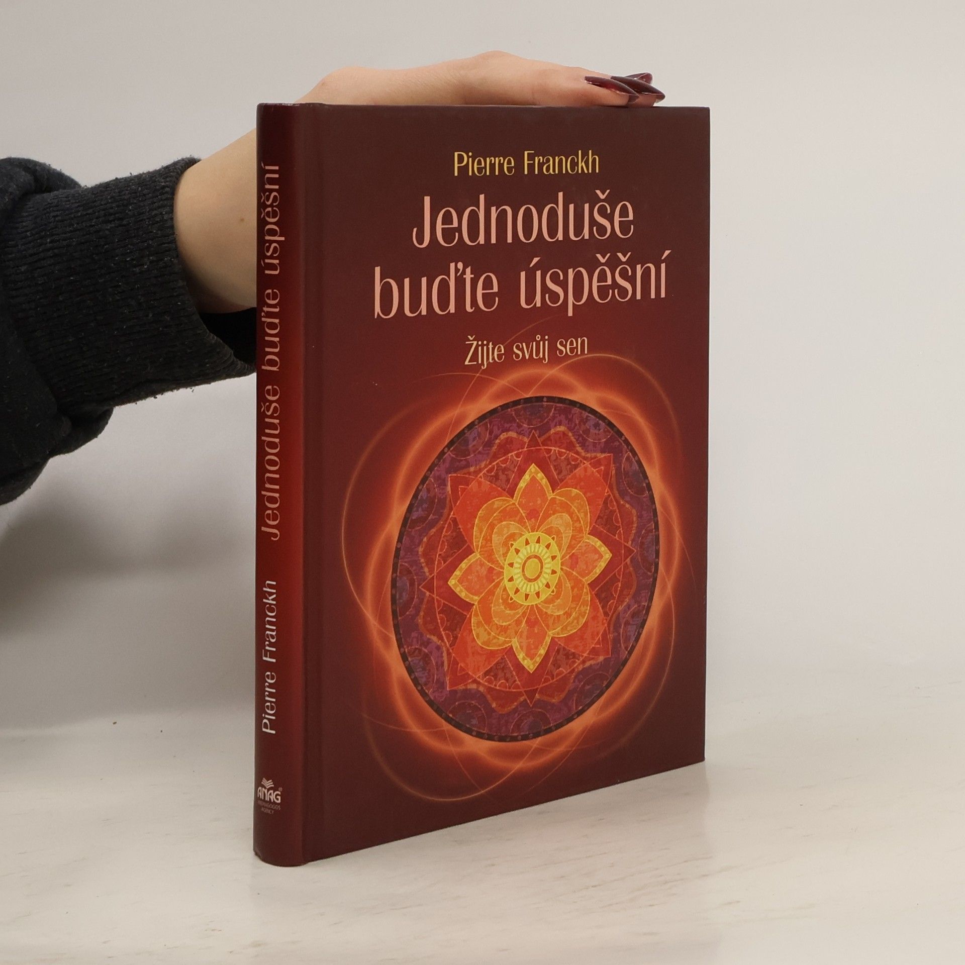 Pierre Franckh Jednoduše buďte úspěšní. Žijte svůj sen