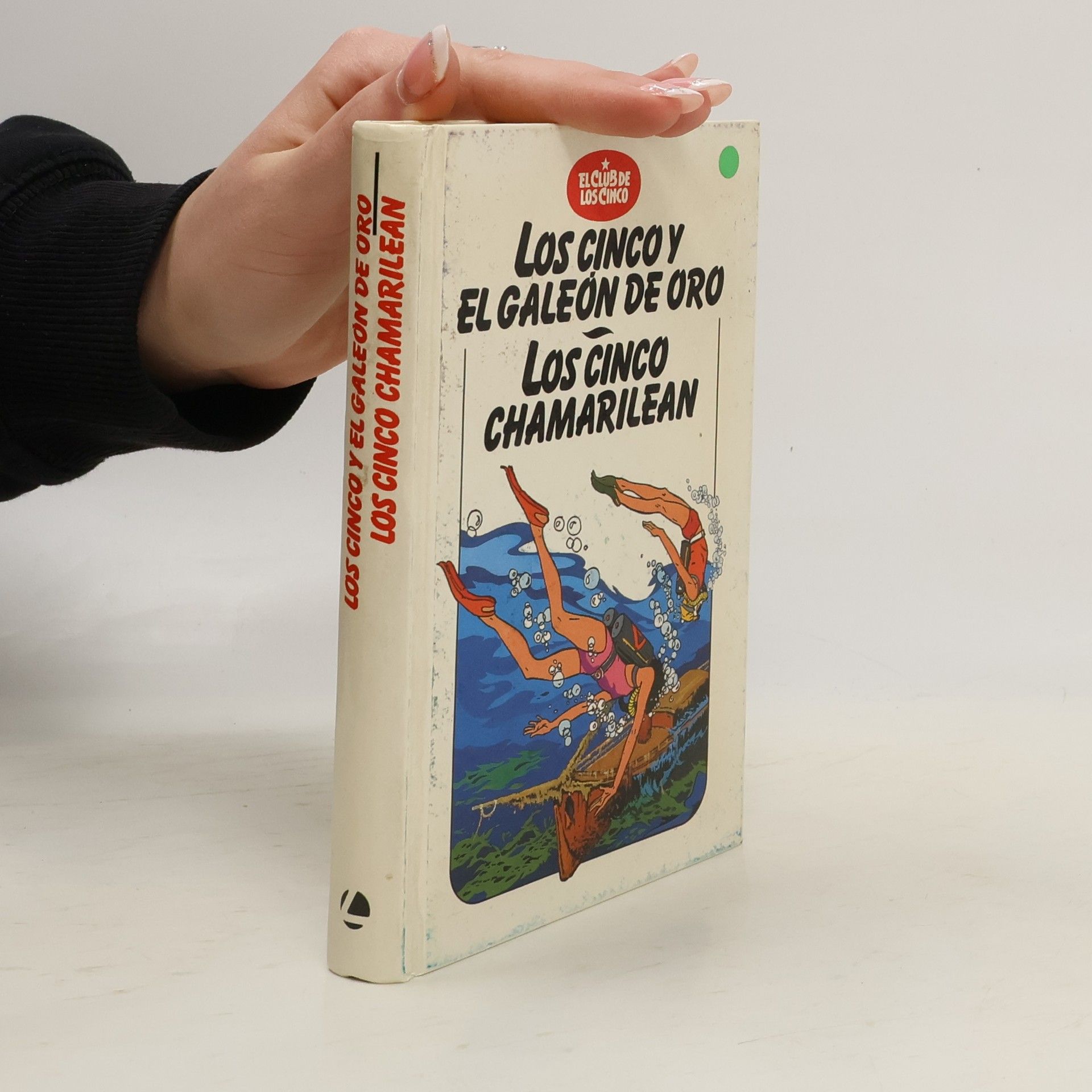 Los Cinco y el galeón de oro