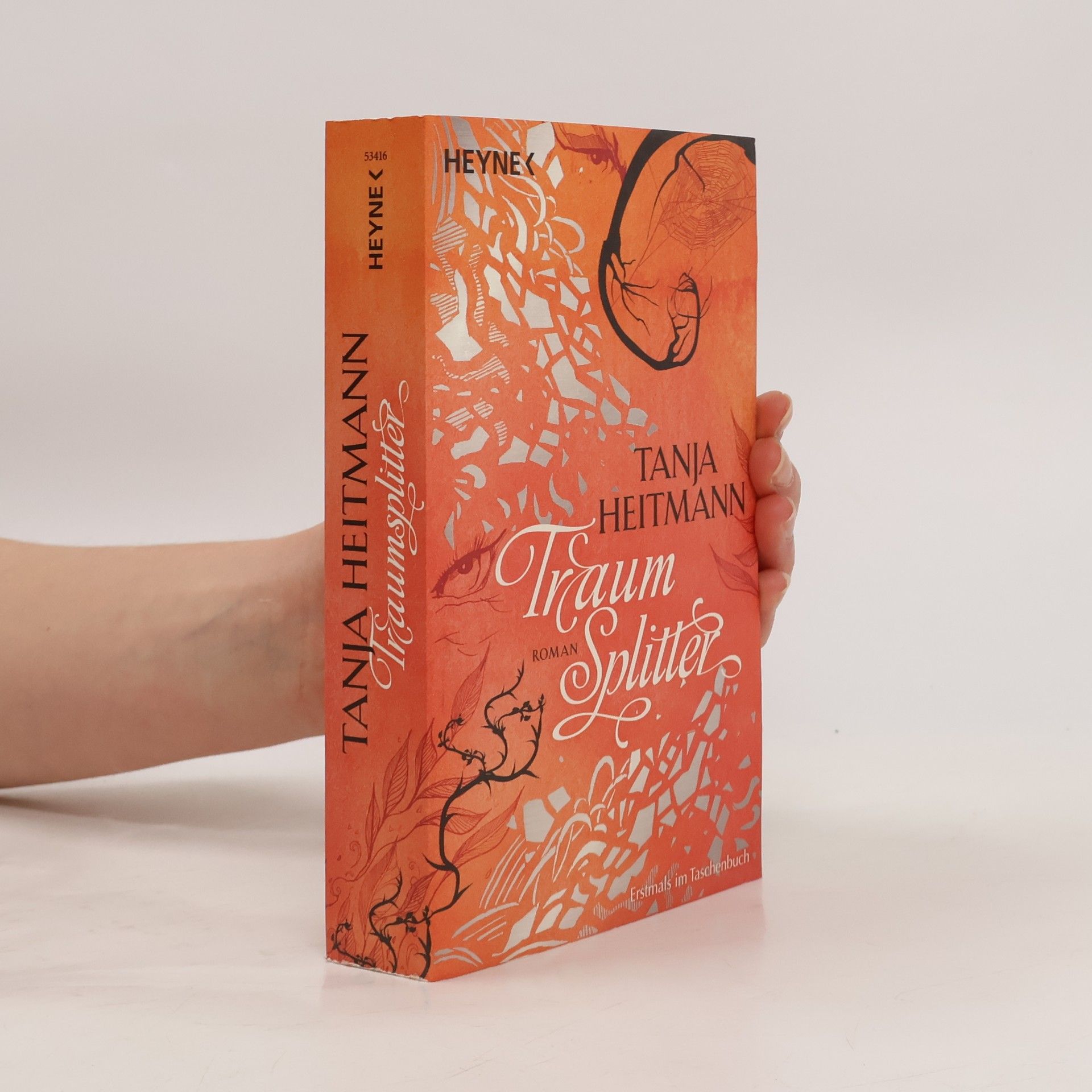 Tanja Heitmann Traumsplitter