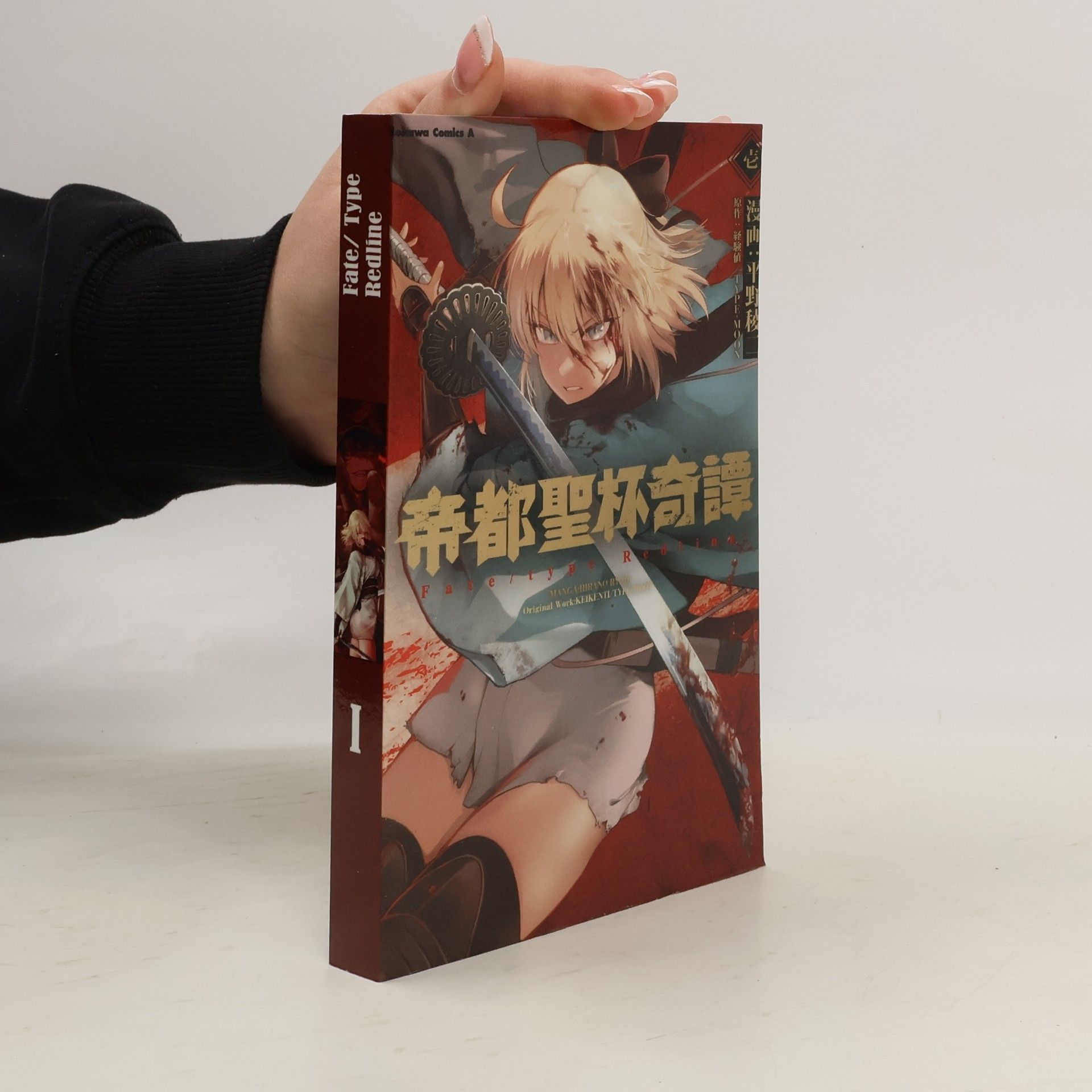 帝都聖杯奇譚 I. Fate/type Redline