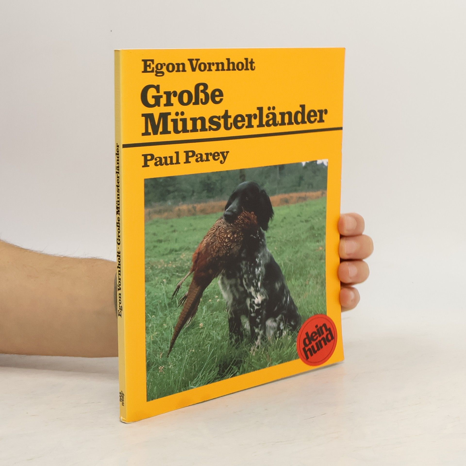 Grosse Münsterländer