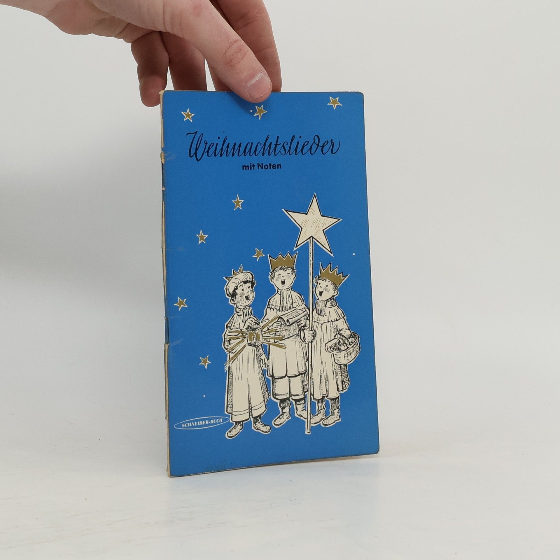 Kolektív autorov Weihnachtslieder mit Noten