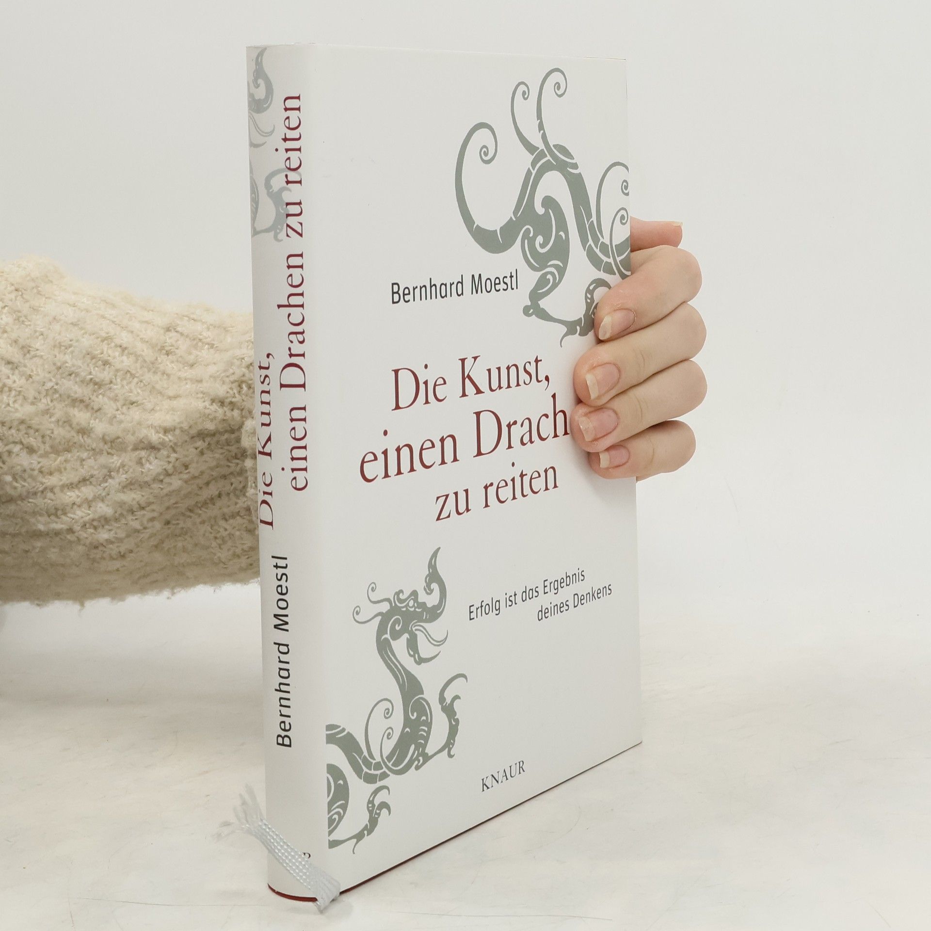 Die Kunst, einen Drachen zu reiten