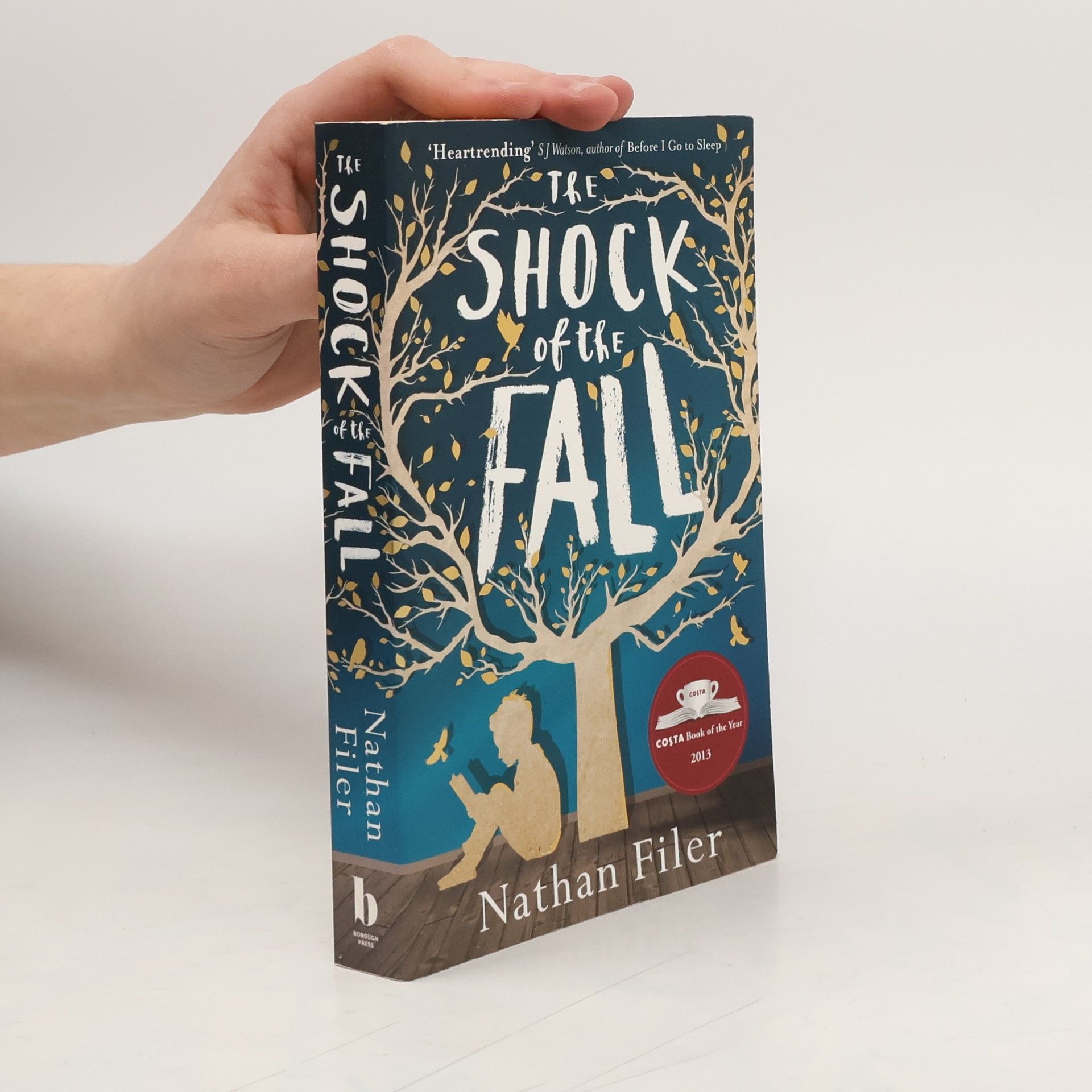 Nathan Filer The shock of the fall