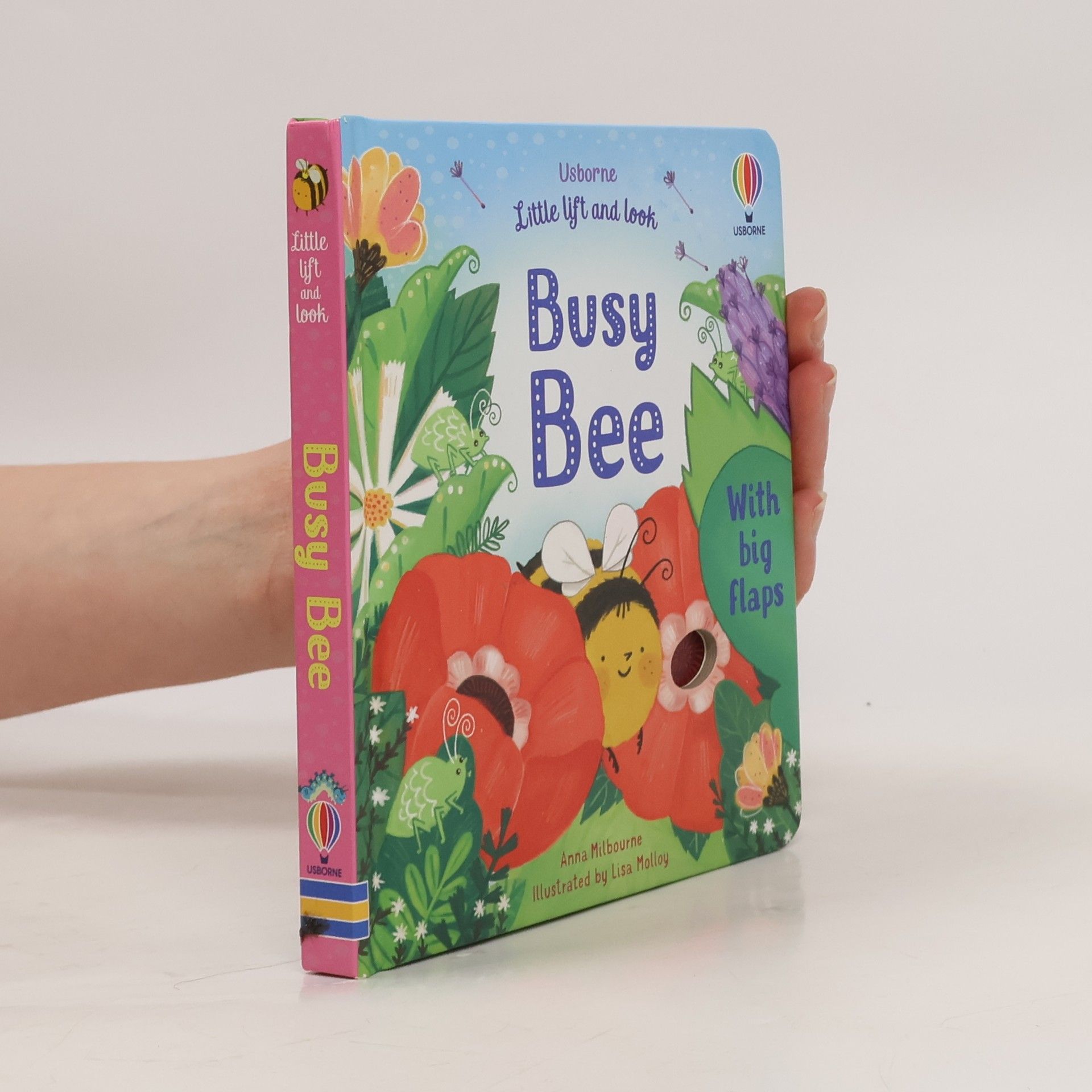 Anna Milbourne Little Lift and Look Busy Bee