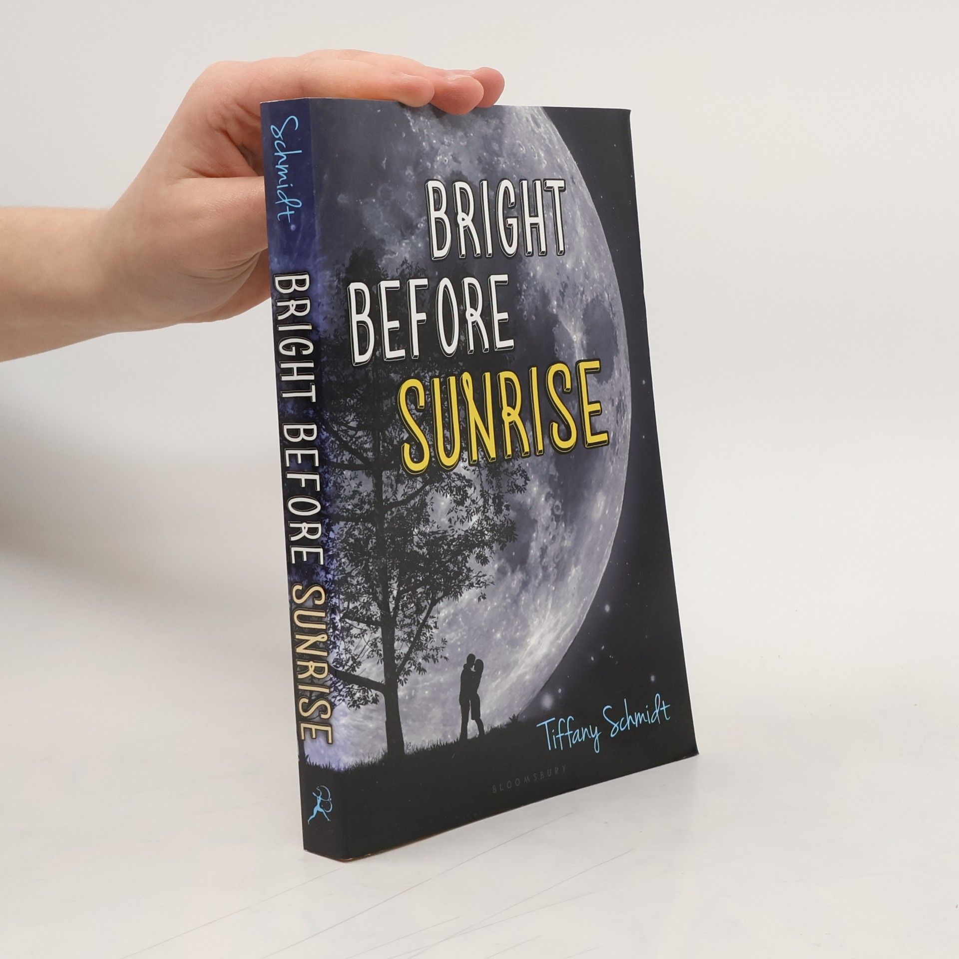 Tiffany Schmidt Bright Before Sunrise