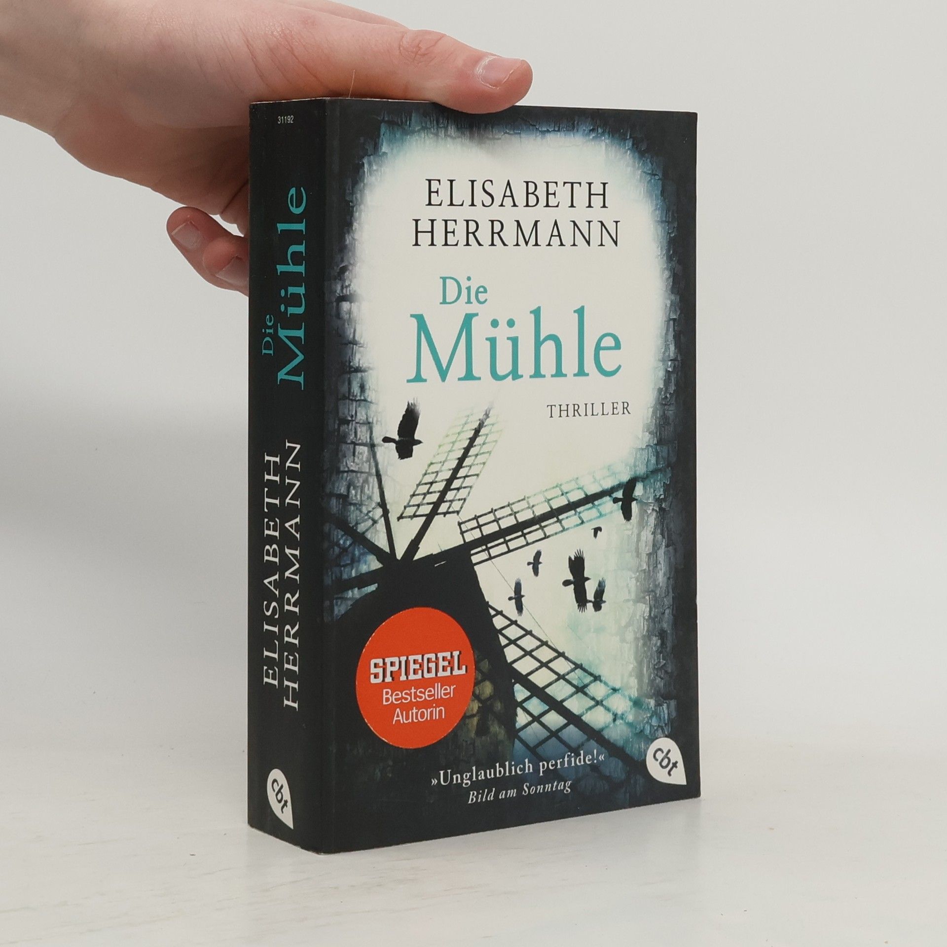 Elisabeth Hermann Die Mühle