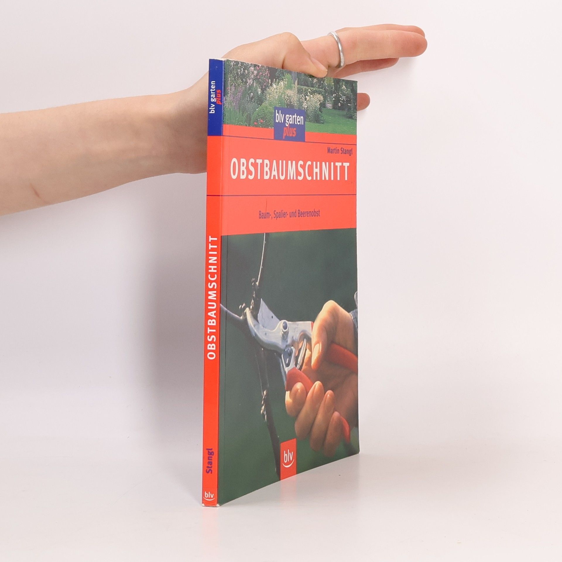 Martin Stangl Obstbaumschnitt