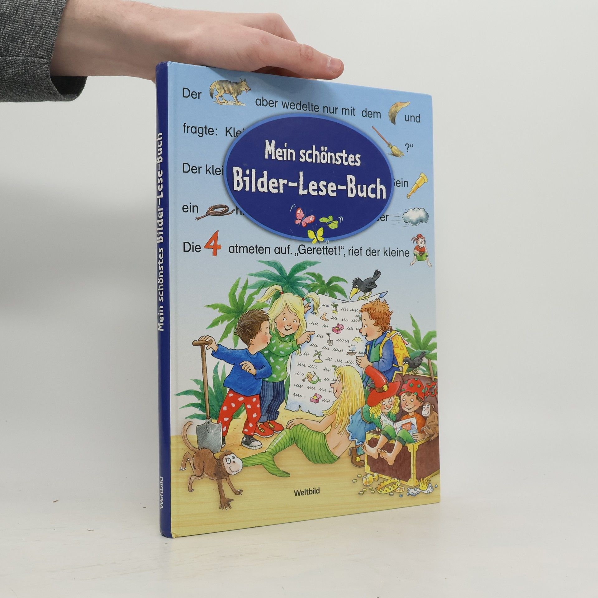 Kolektiv autorů Mein schönstes Bilder-Lese-Buch