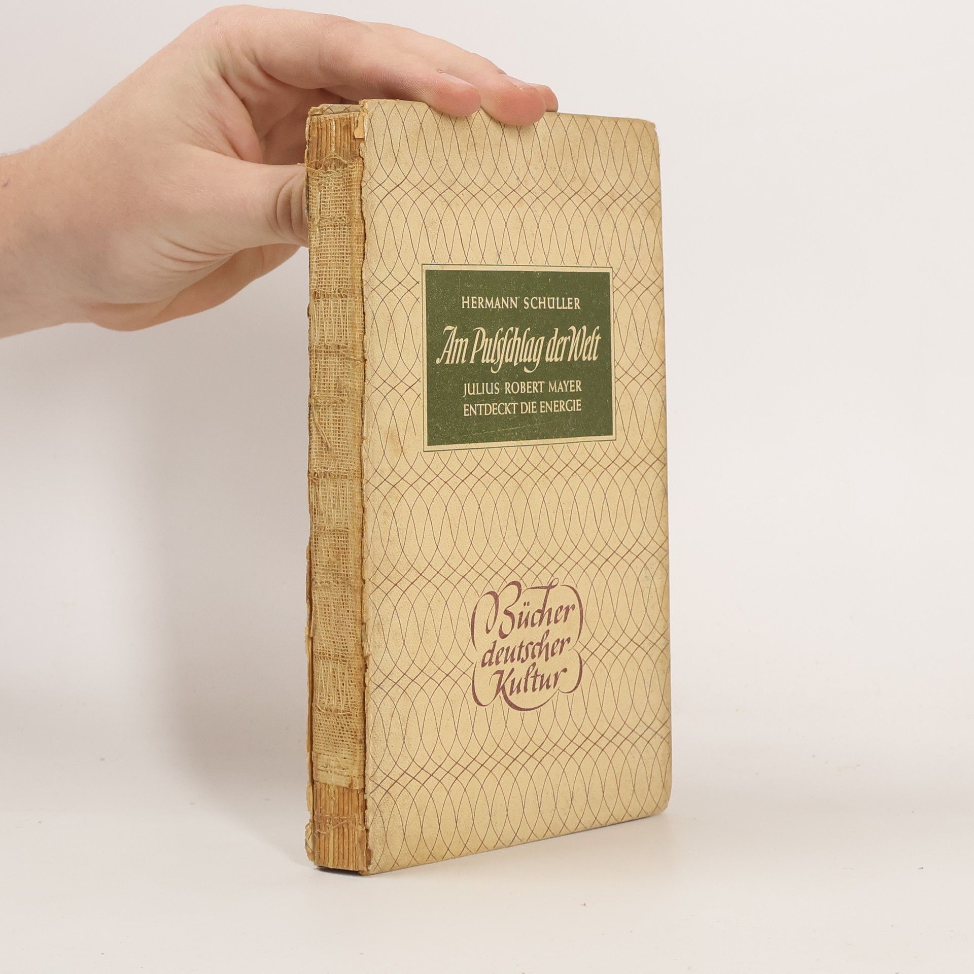 Hermann Albrecht Schüller Am Pulsschlag der Welt