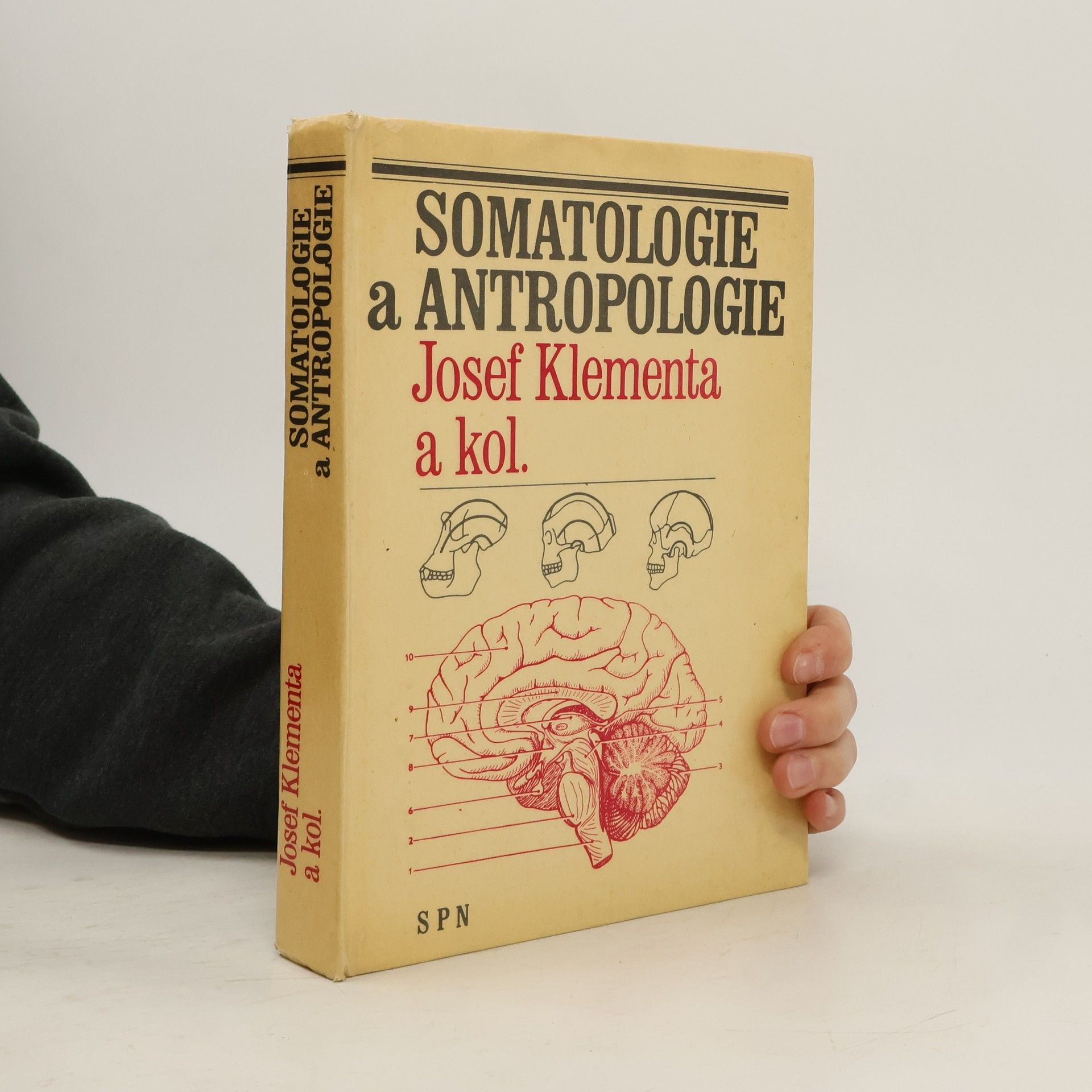 Somatologie a antropologie