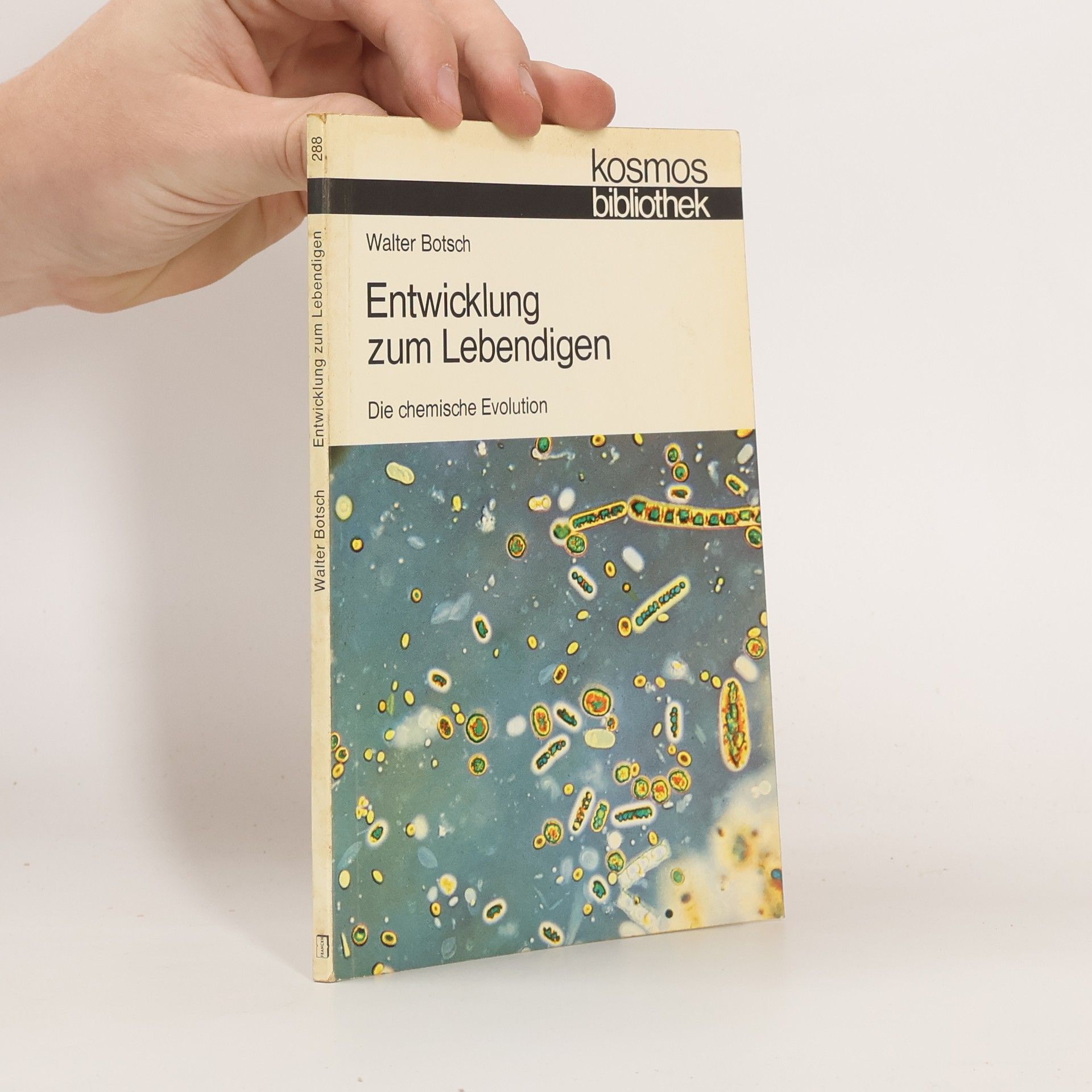 Entwicklung zum Lebendigen