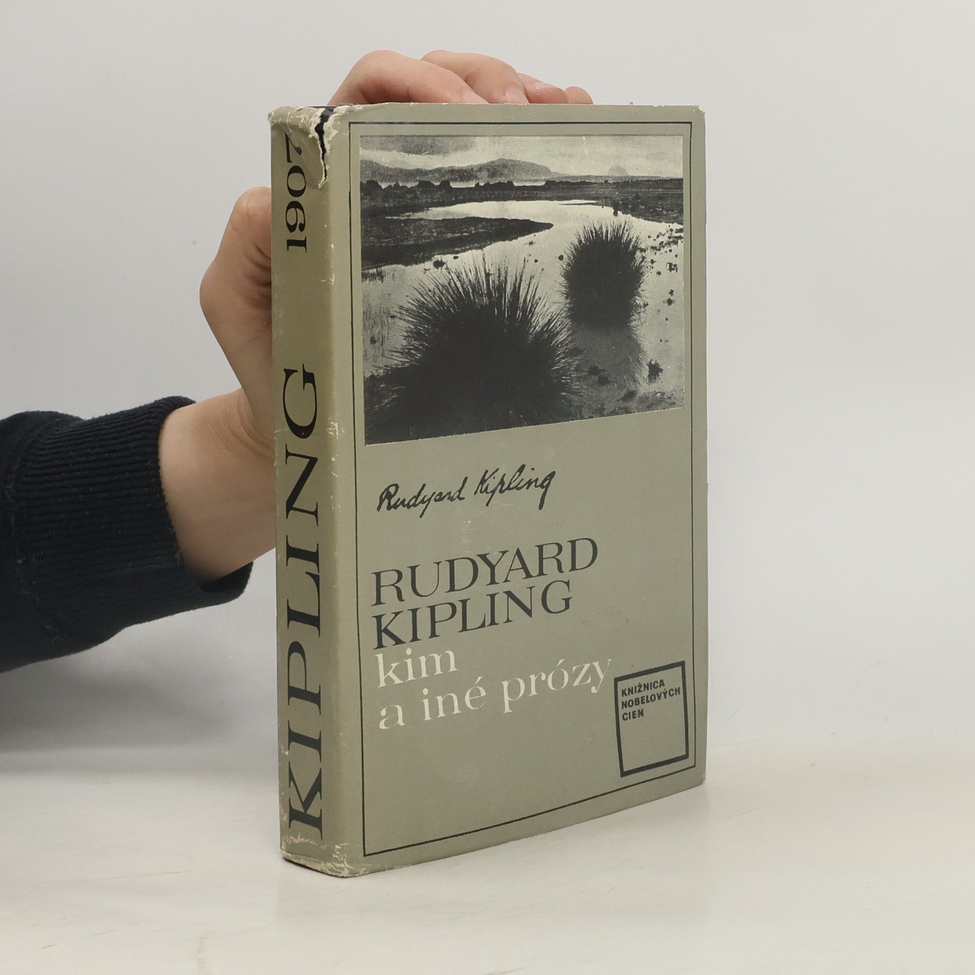 Rudyard Kipling Kim a iné prózy