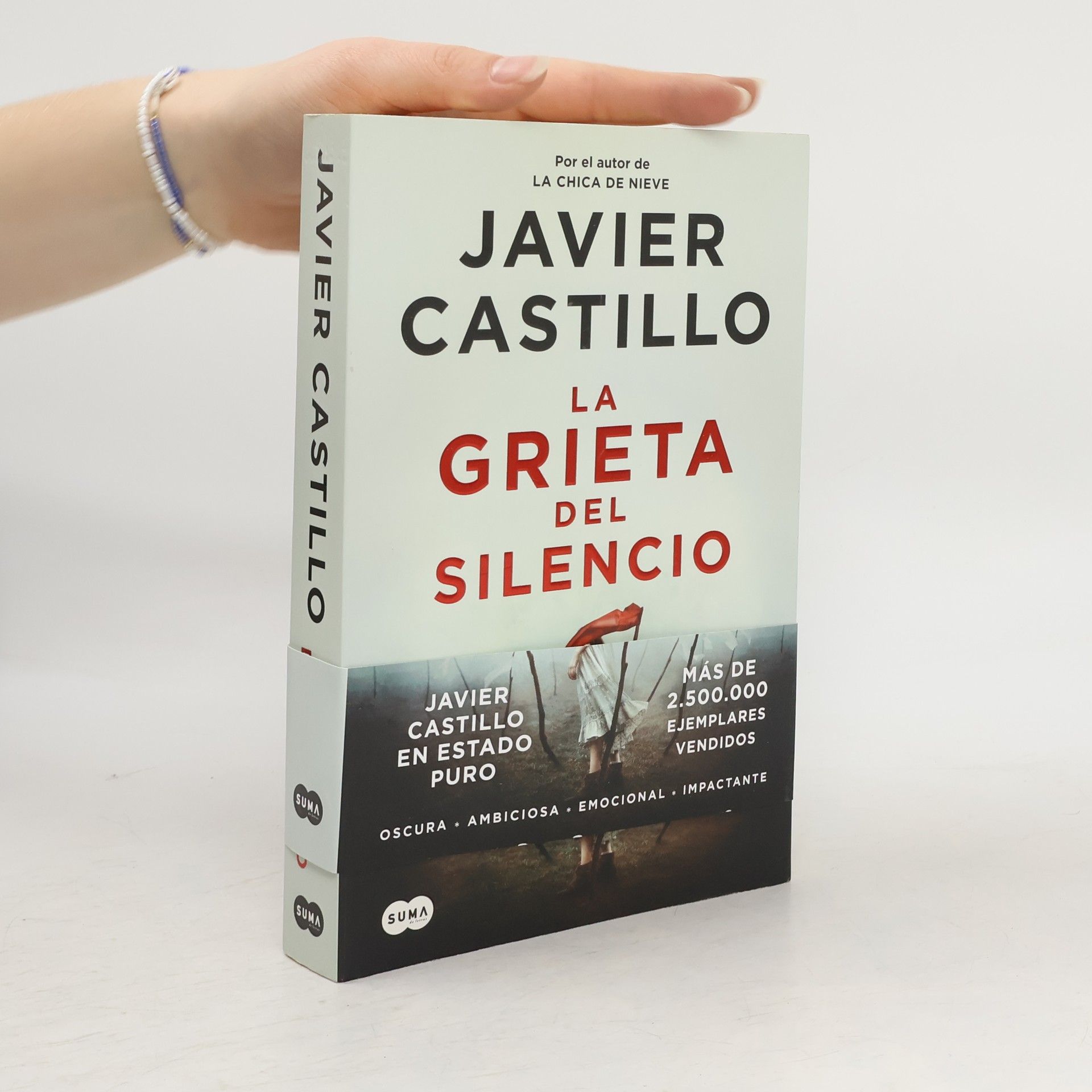 La Grieta del Silencio