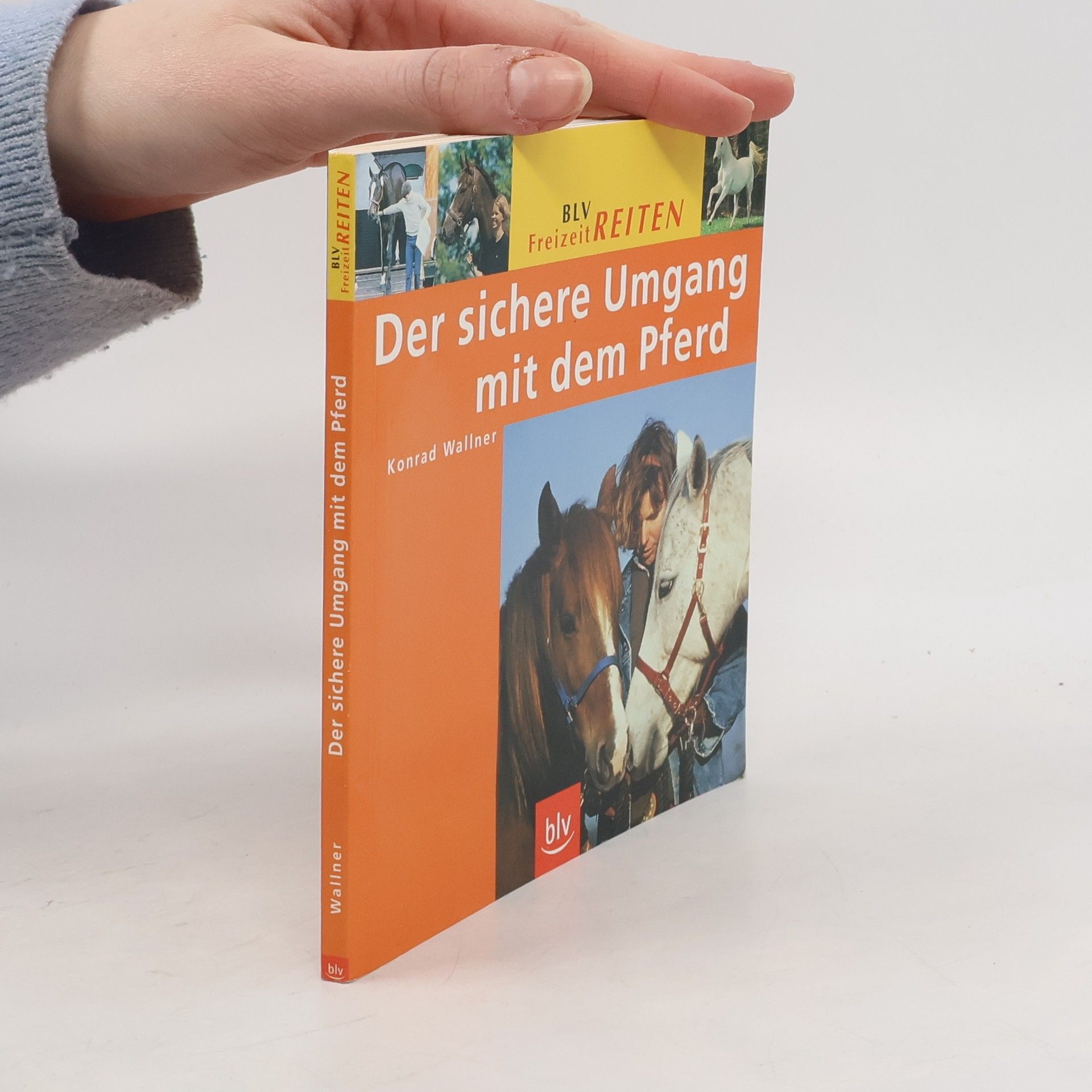 Der sichere Umgang mit dem Pferd