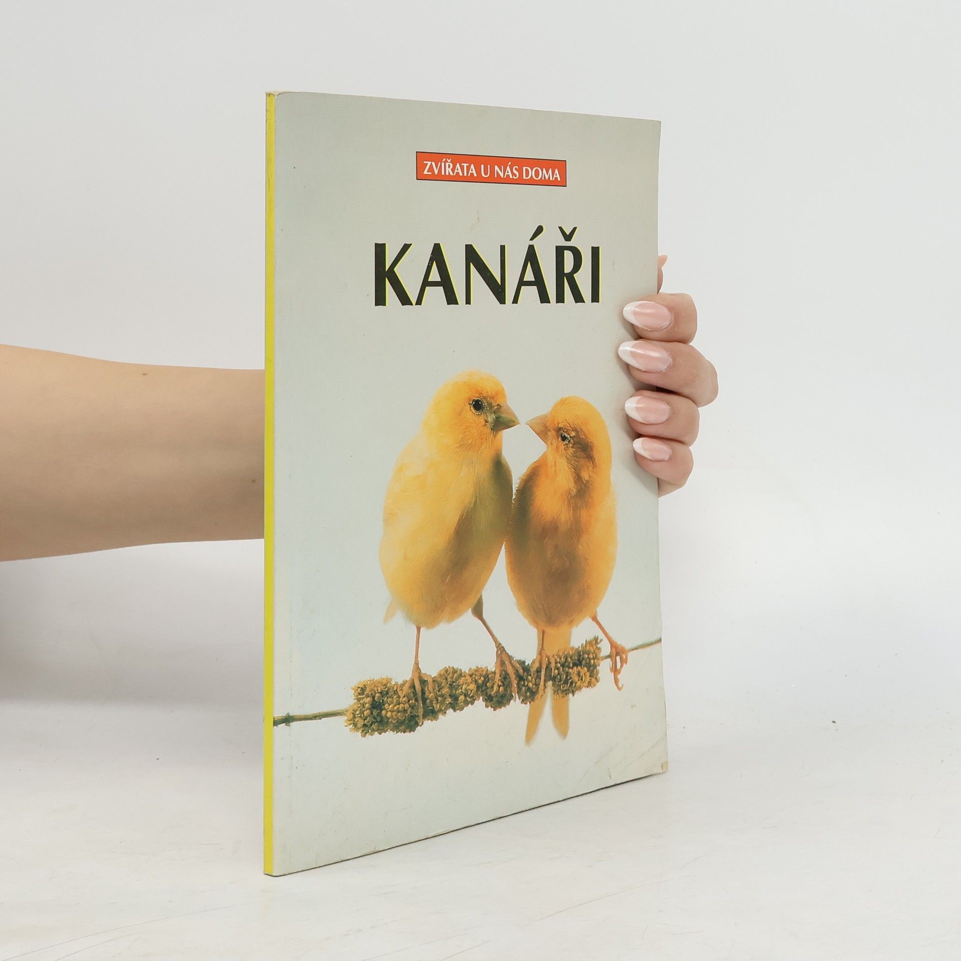 Markus Hübl Kanáři