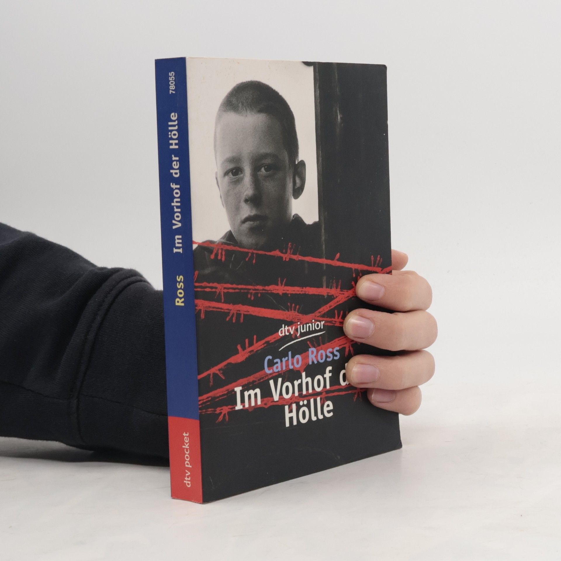 Carlo Ross Im Vorhof der Hölle