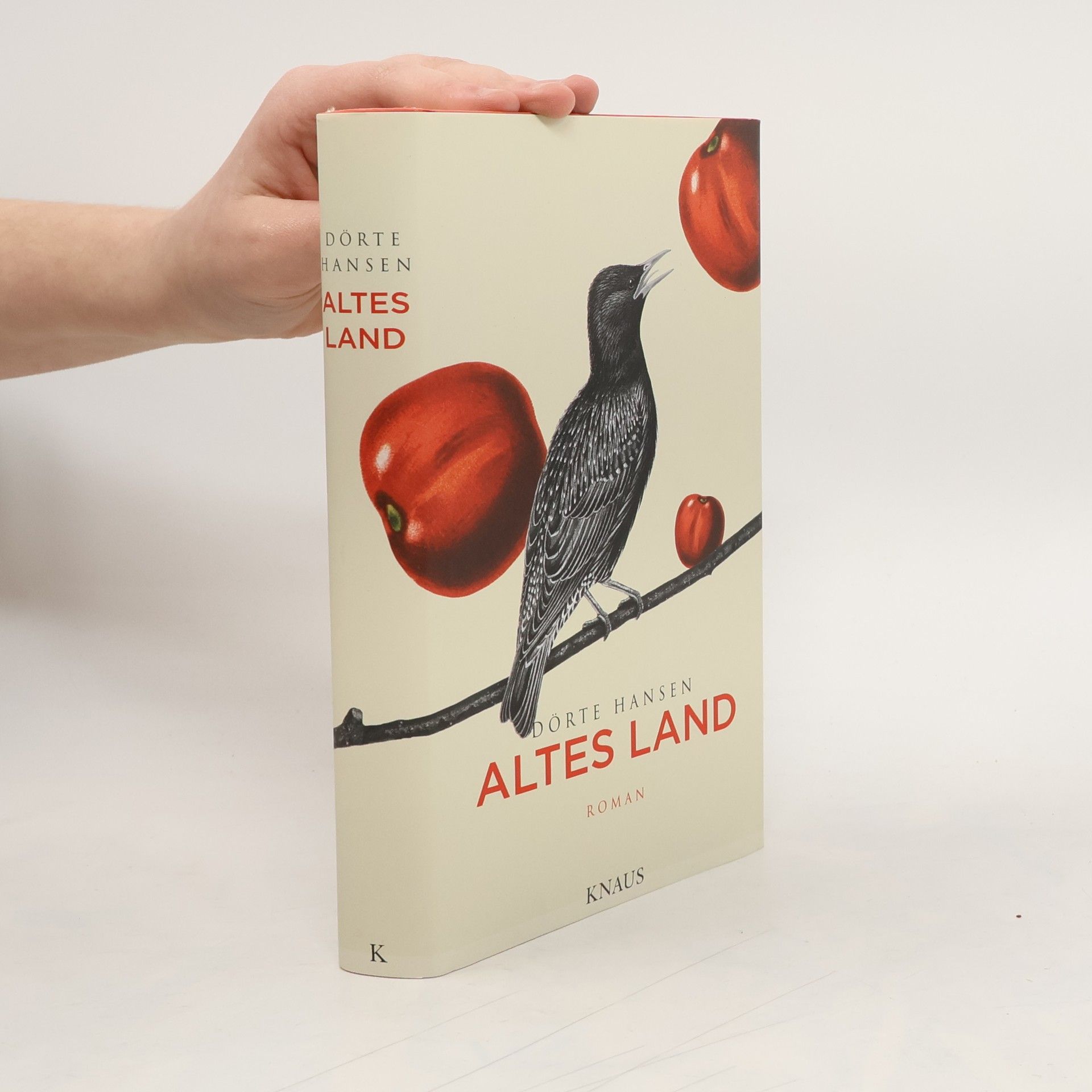 Dörte Hansen Altes Land