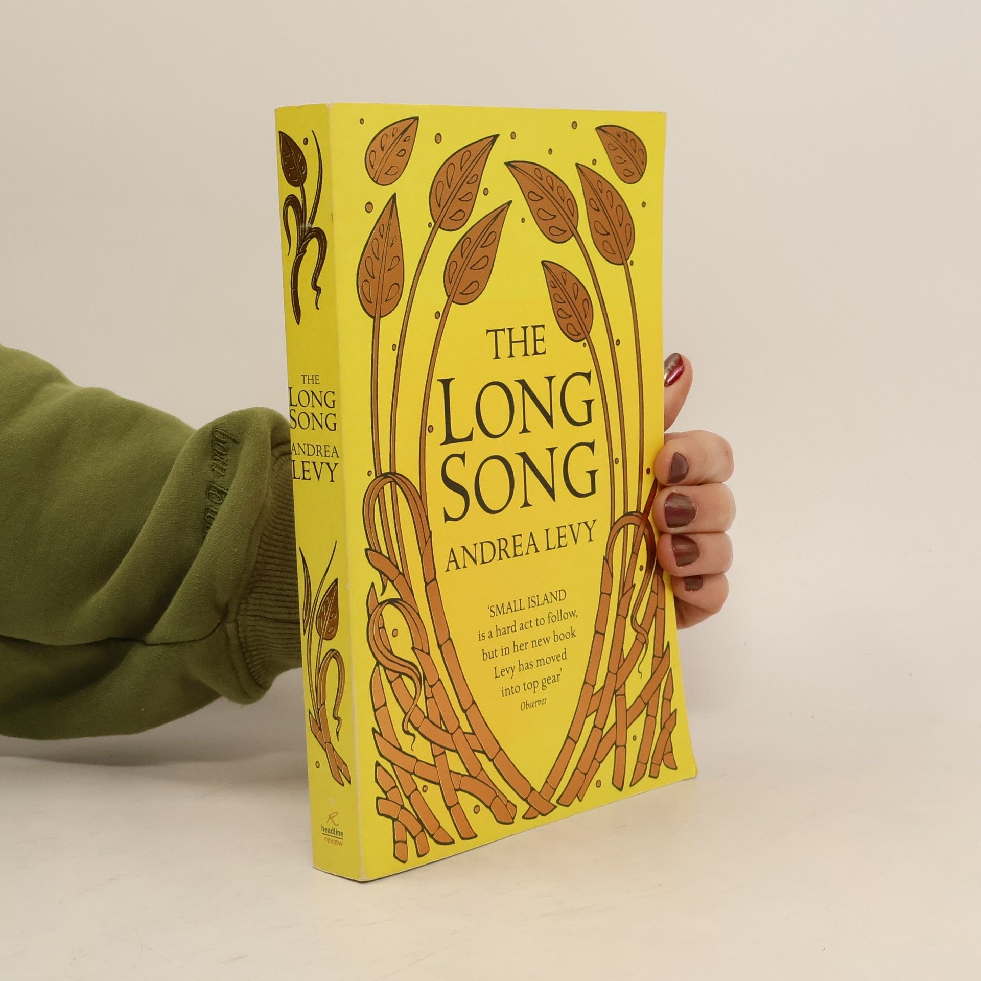 Andrea Levy The Long Song