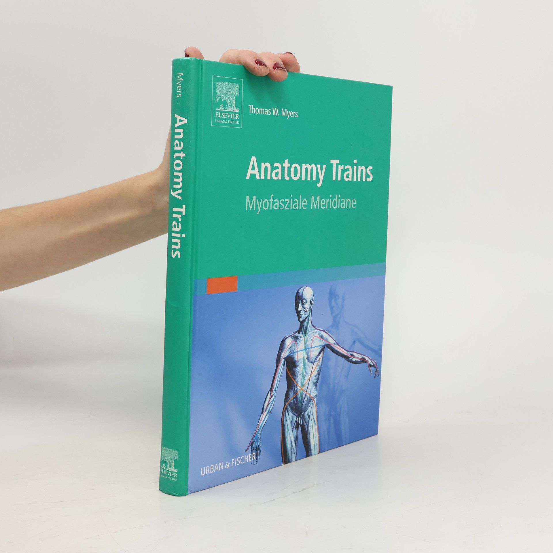 Anatomy trains