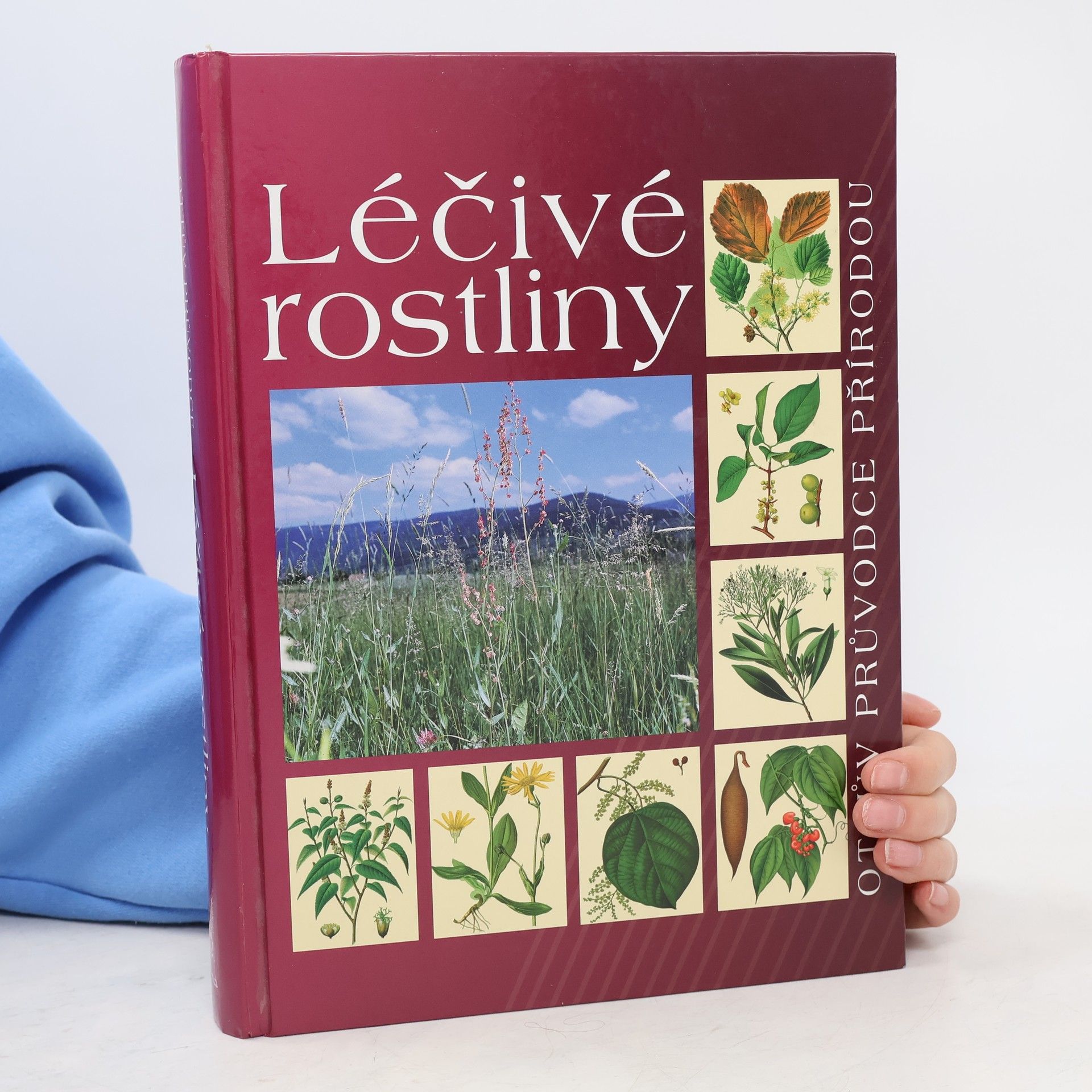 Peter Schönfelder Léčivé rostliny