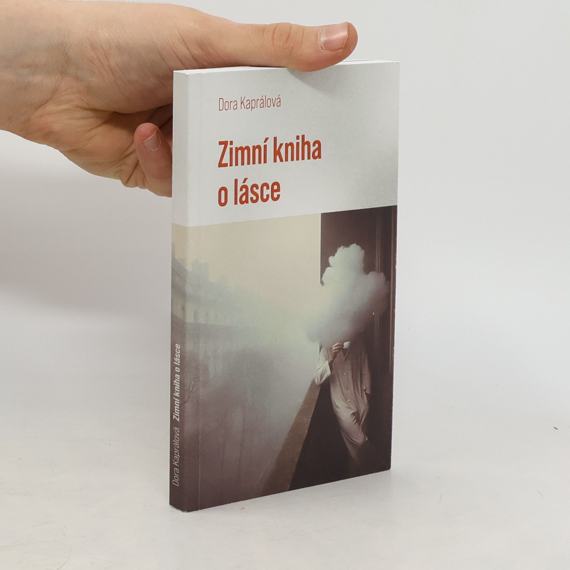 Zimní kniha o lásce
