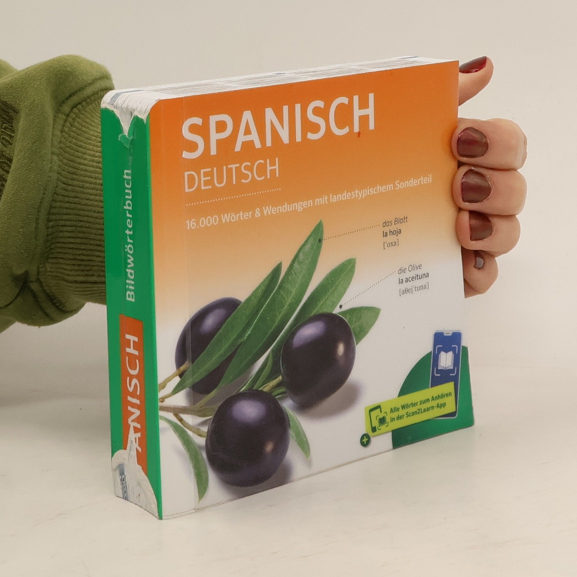 Auteurscollectief PONS Bildwörterbuch Spanisch