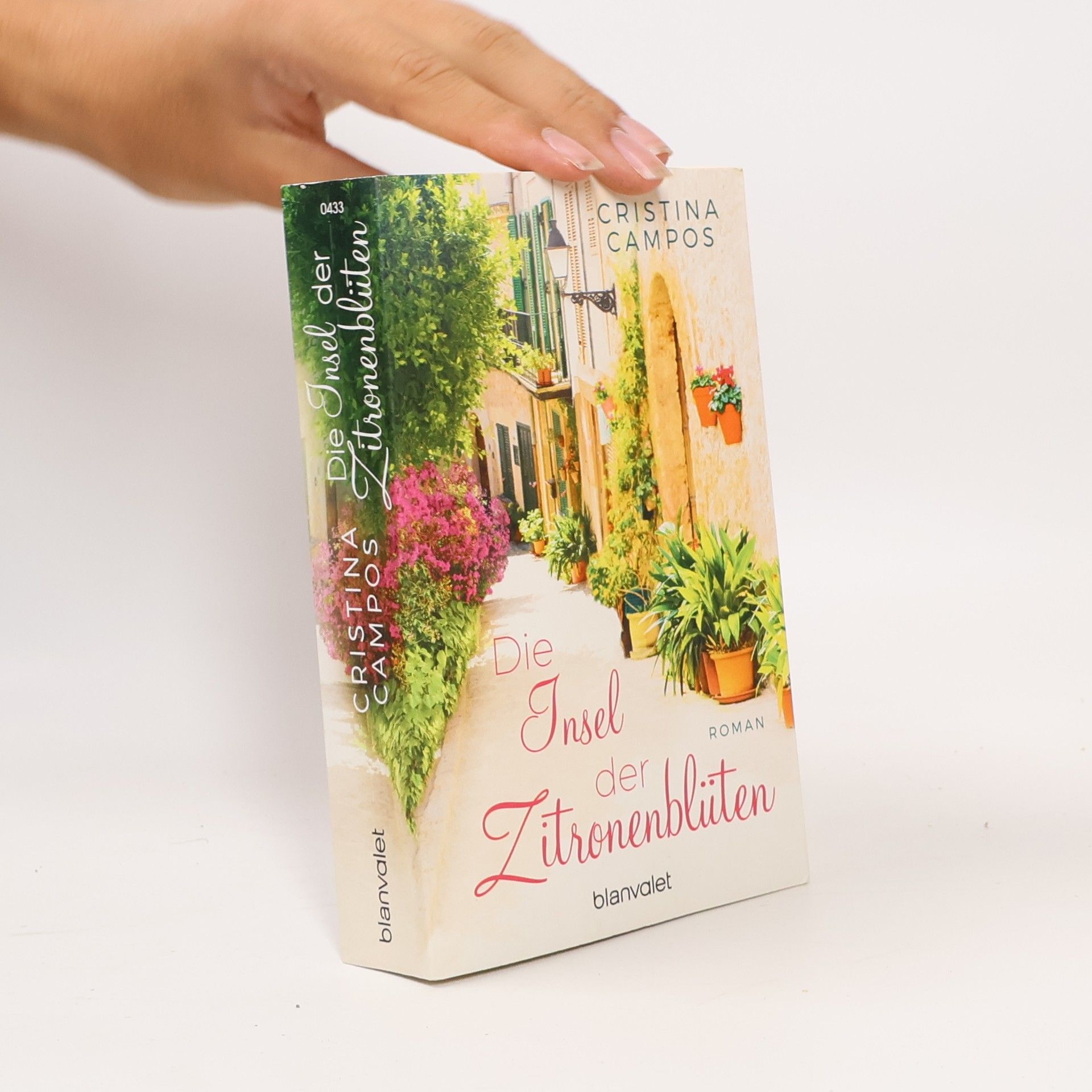 Im wilden Tal der Sehnsucht