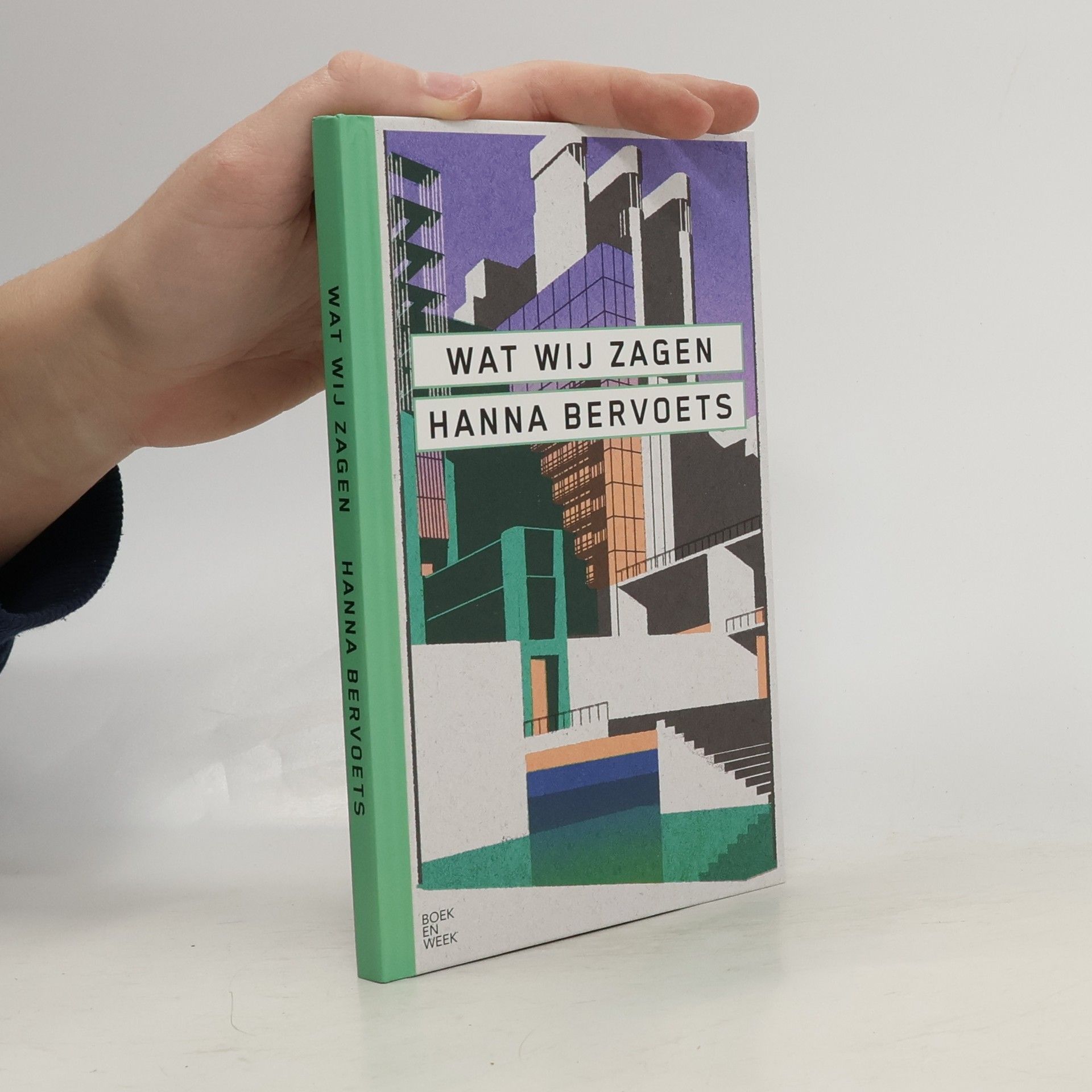 Hanna Bervoets Wat wij zagen