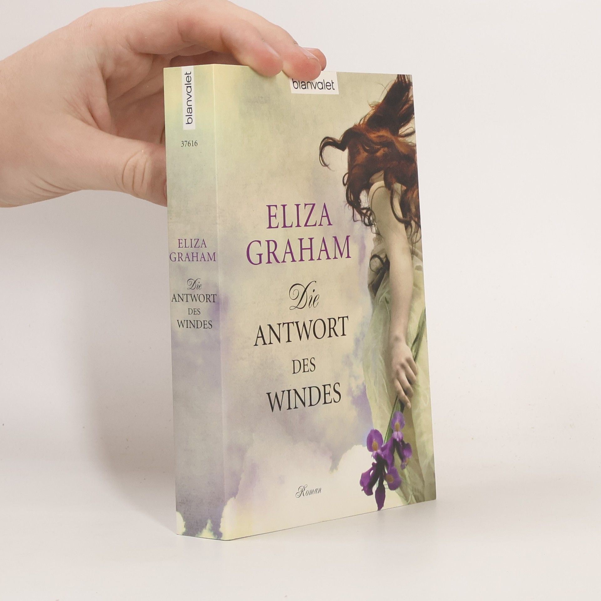 Die Antwort des Windes