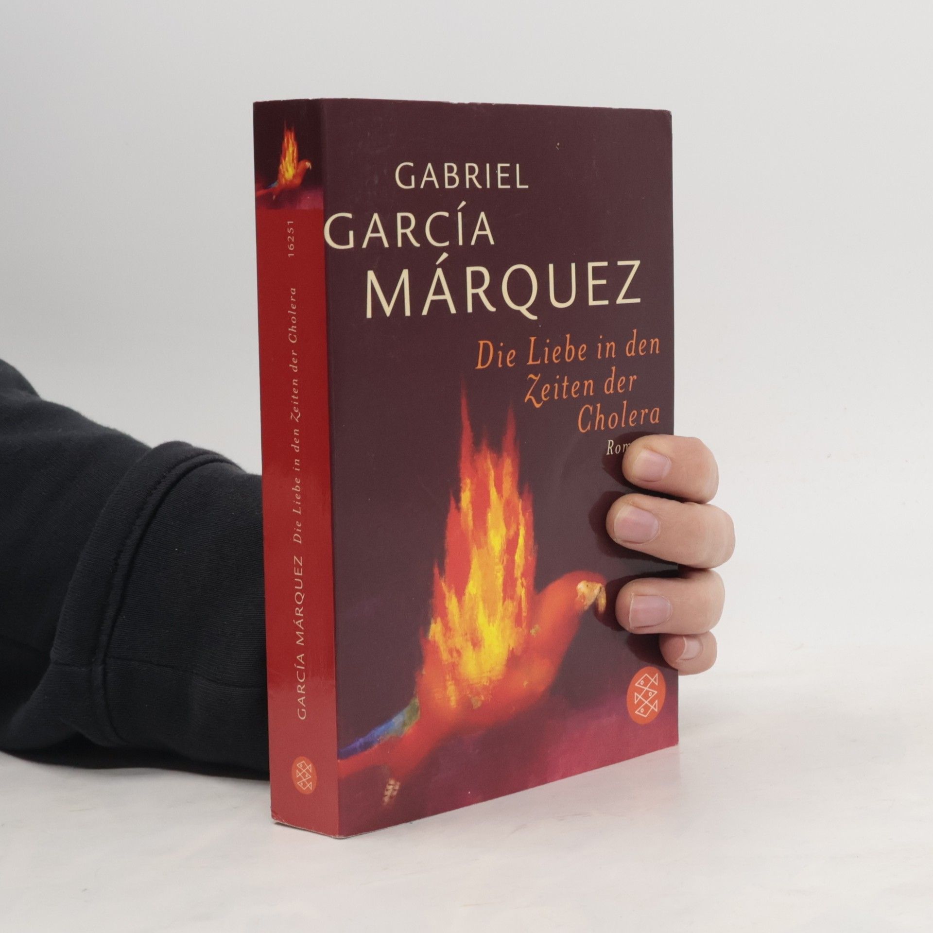 Gabriel García Márquez Die Liebe in den Zeiten der Cholera