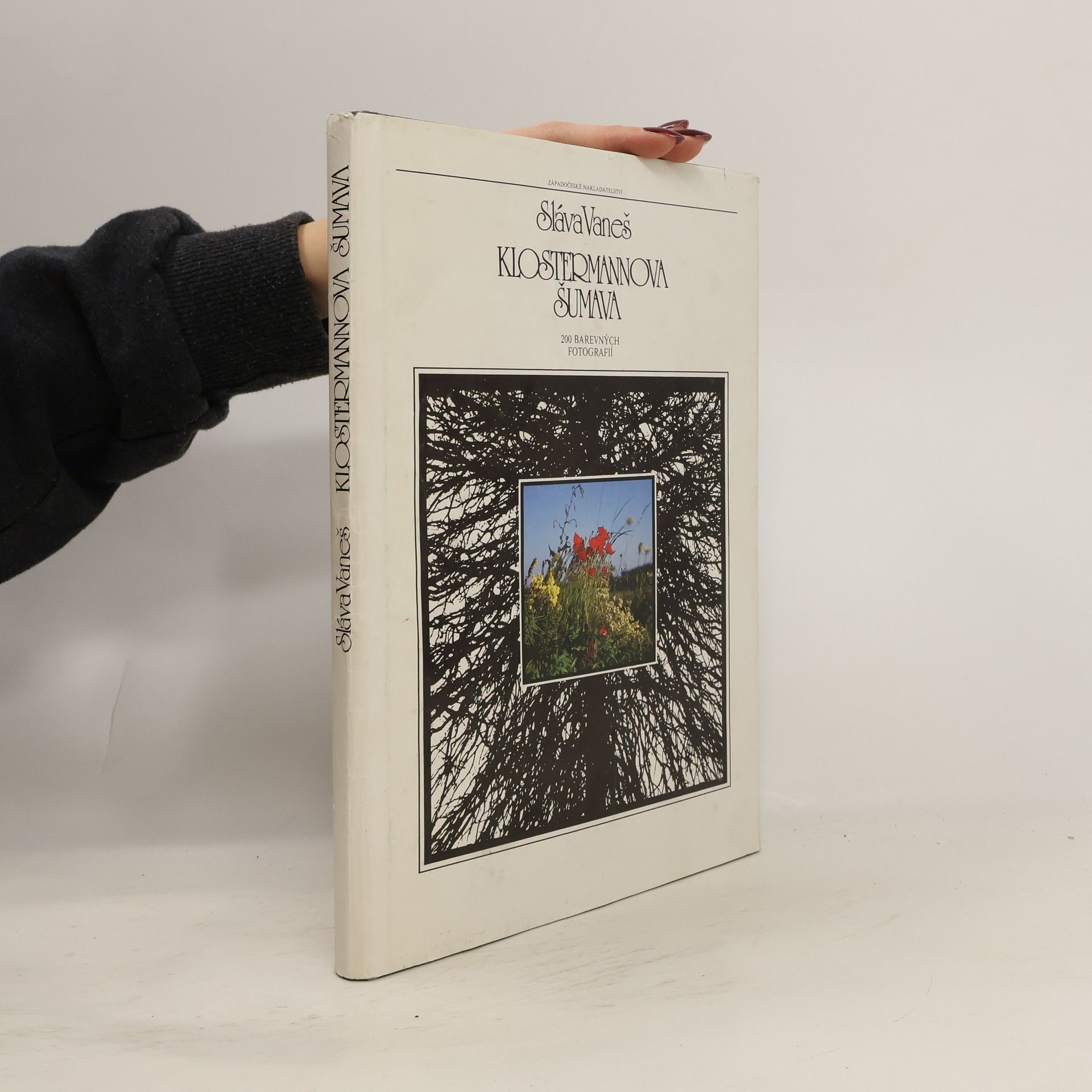 Klostermannova Šumava