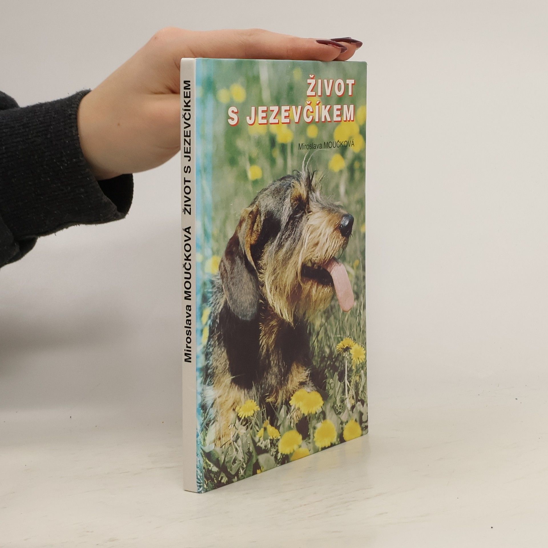 Život s jezevčíkem