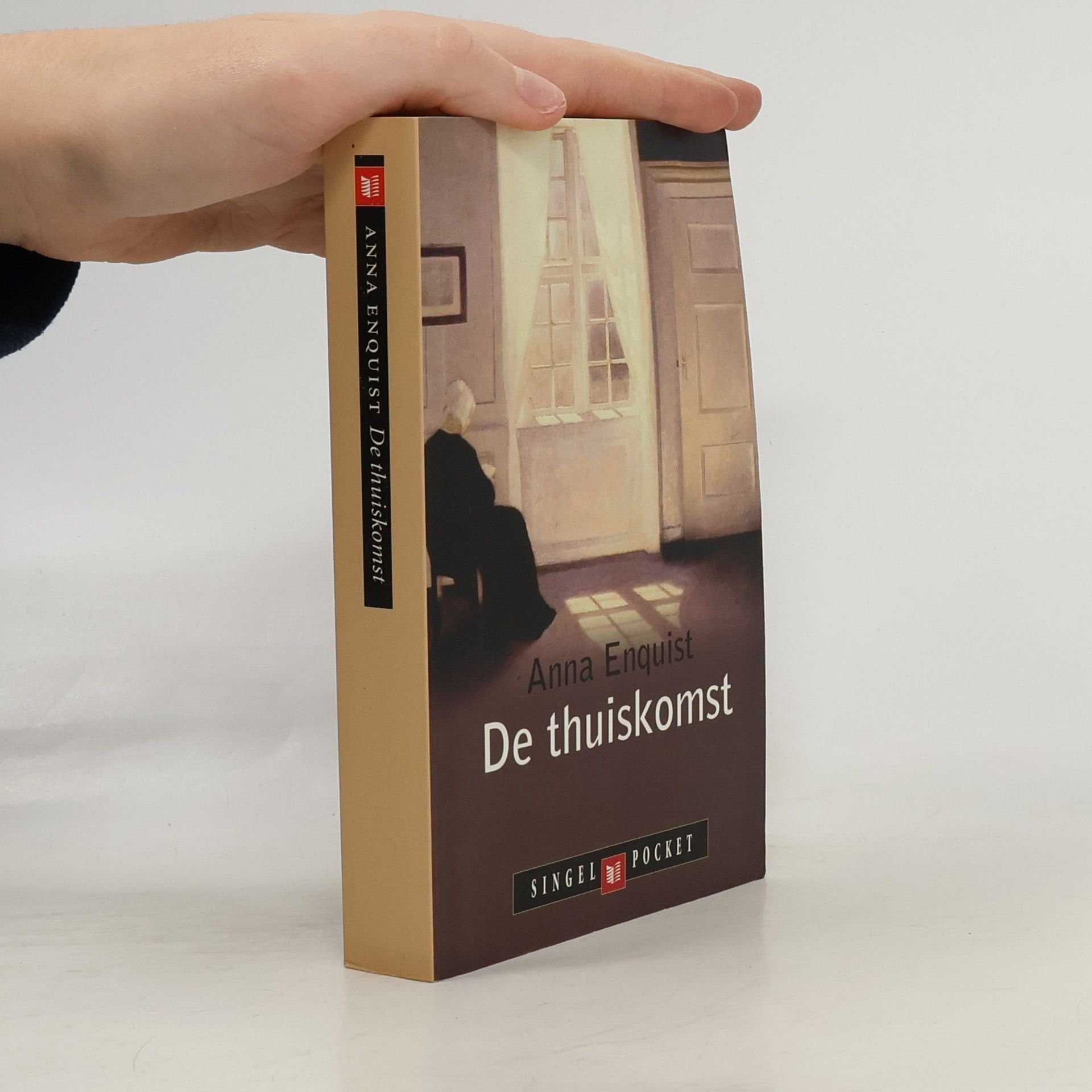 Anna Enquist De thuiskomst