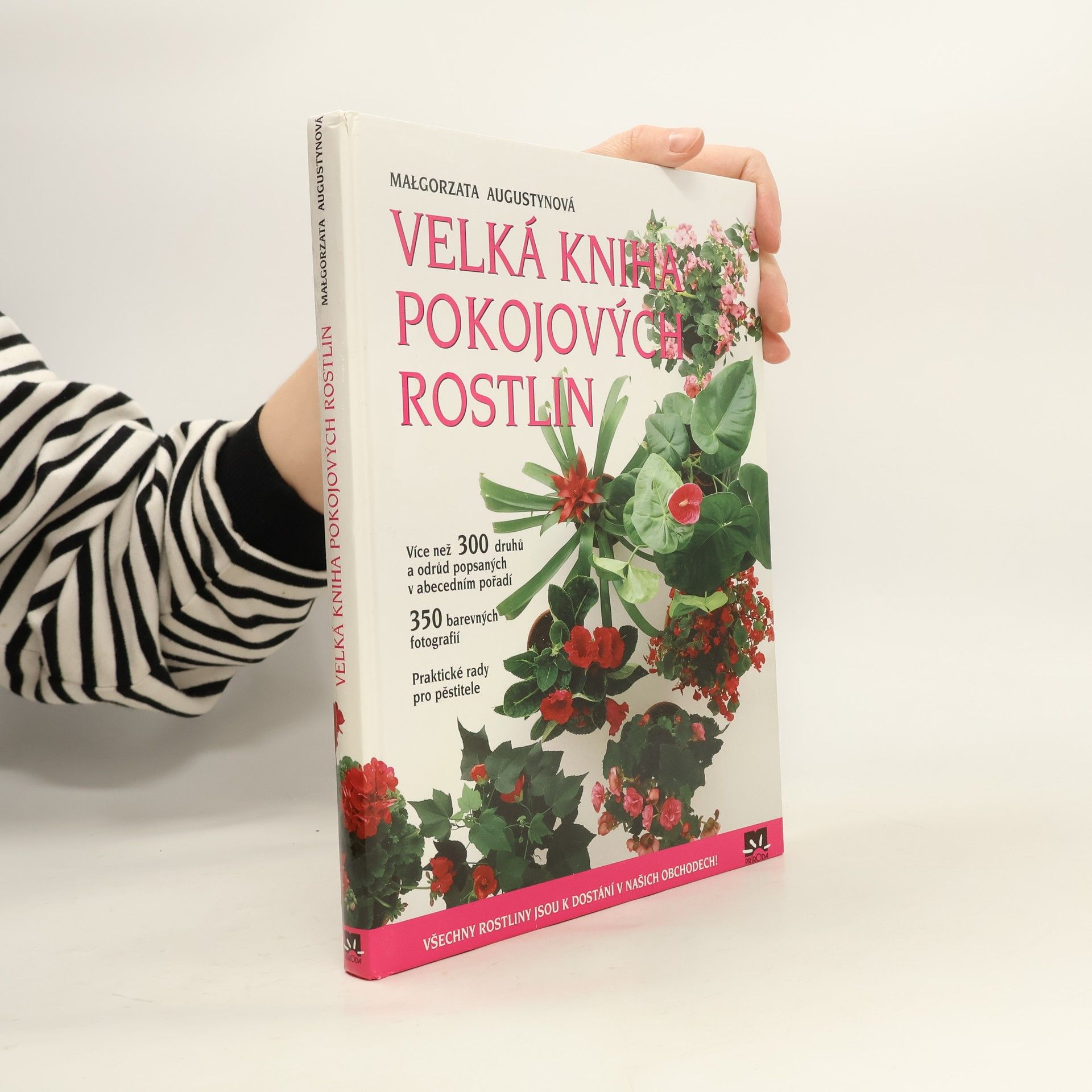 Velká kniha pokojových rostlin