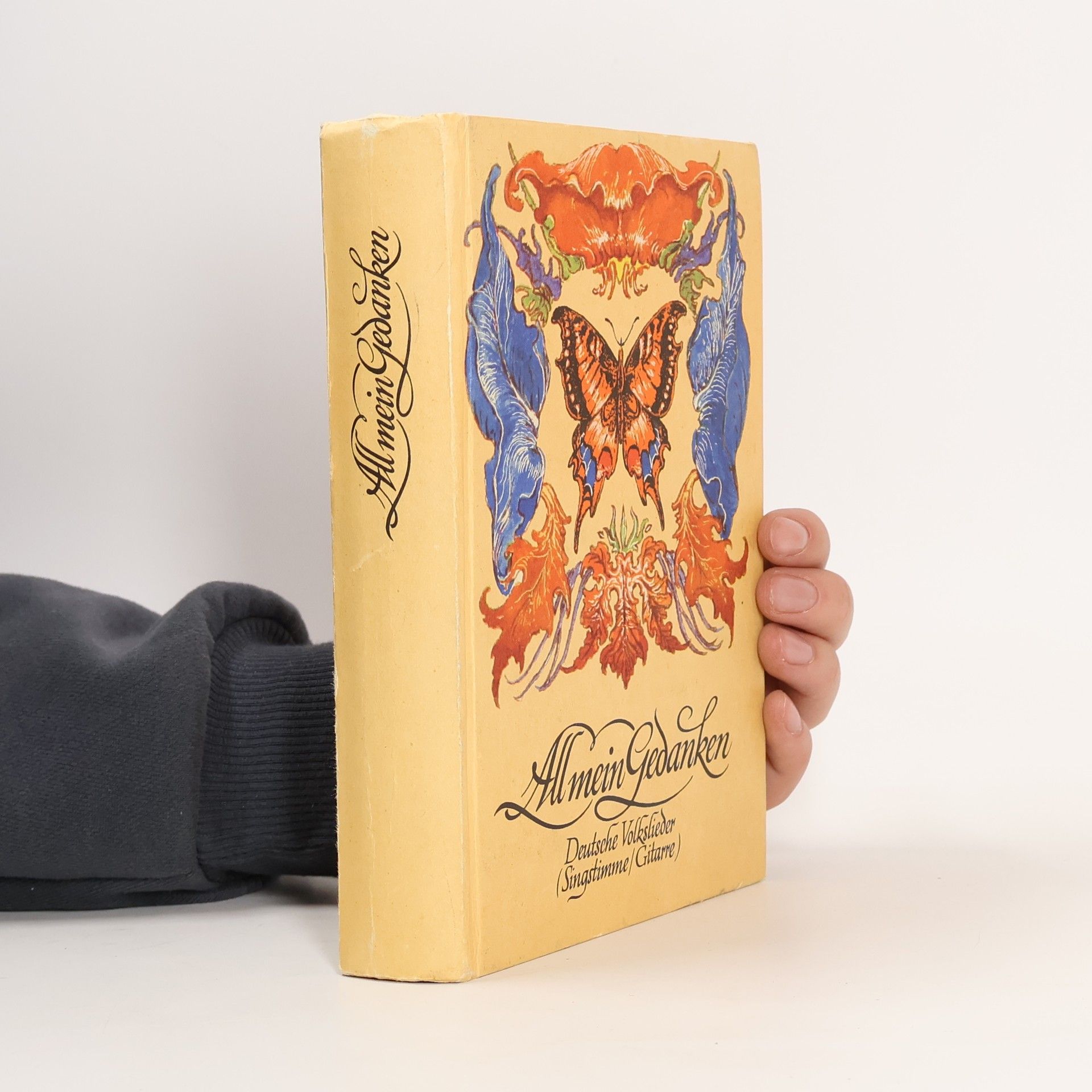 Kolektív autorov Allmein Gedanken