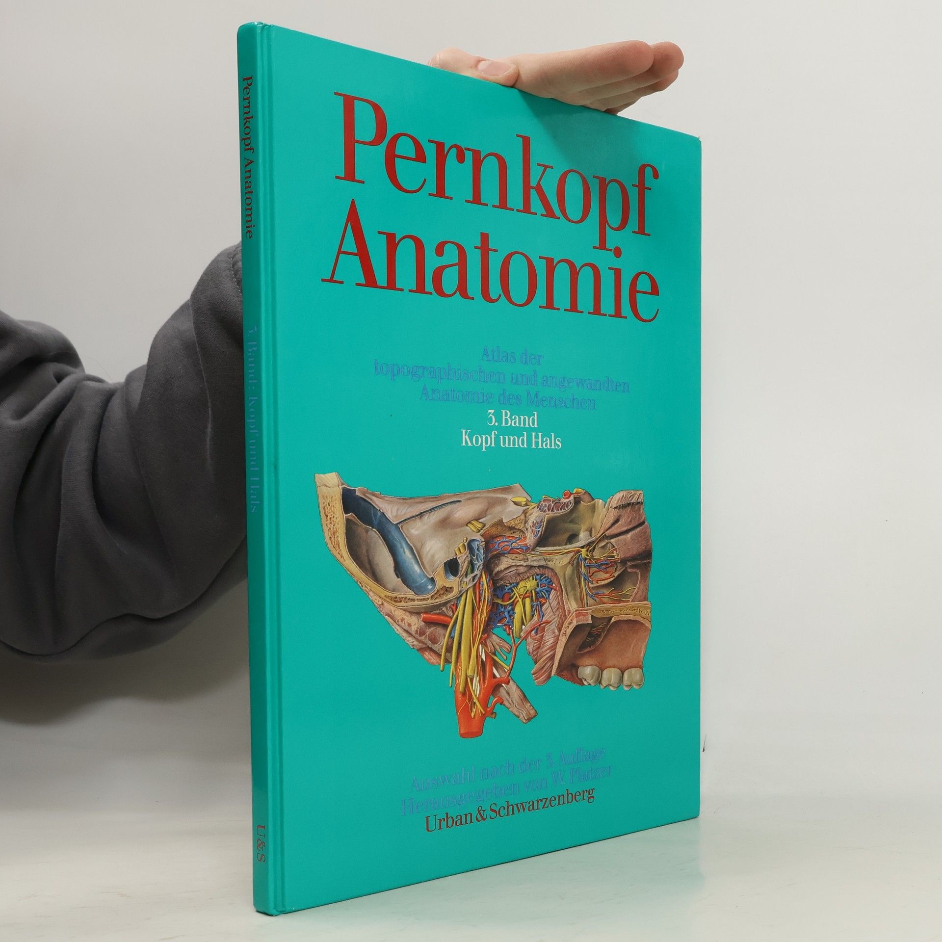 AA.VV. Pernkopf Anatomie 3