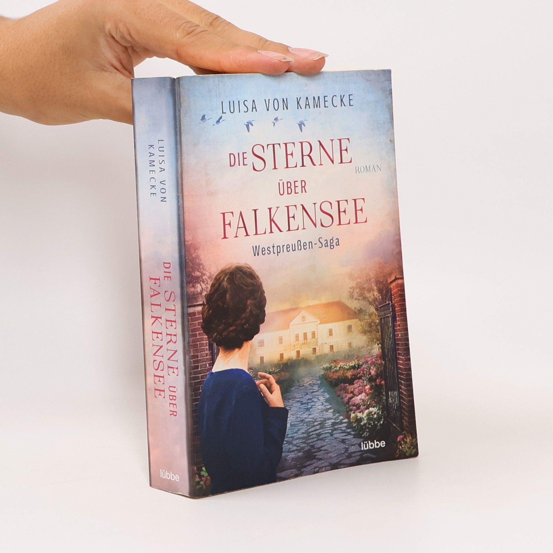 Die Sterne über Falkensee