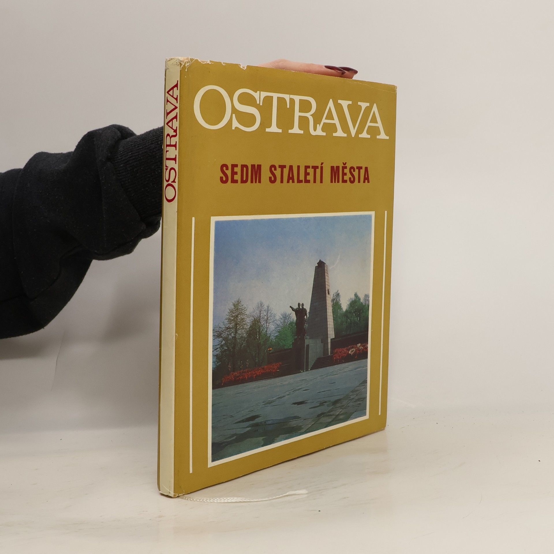 Ostrava. Sedm staletí města