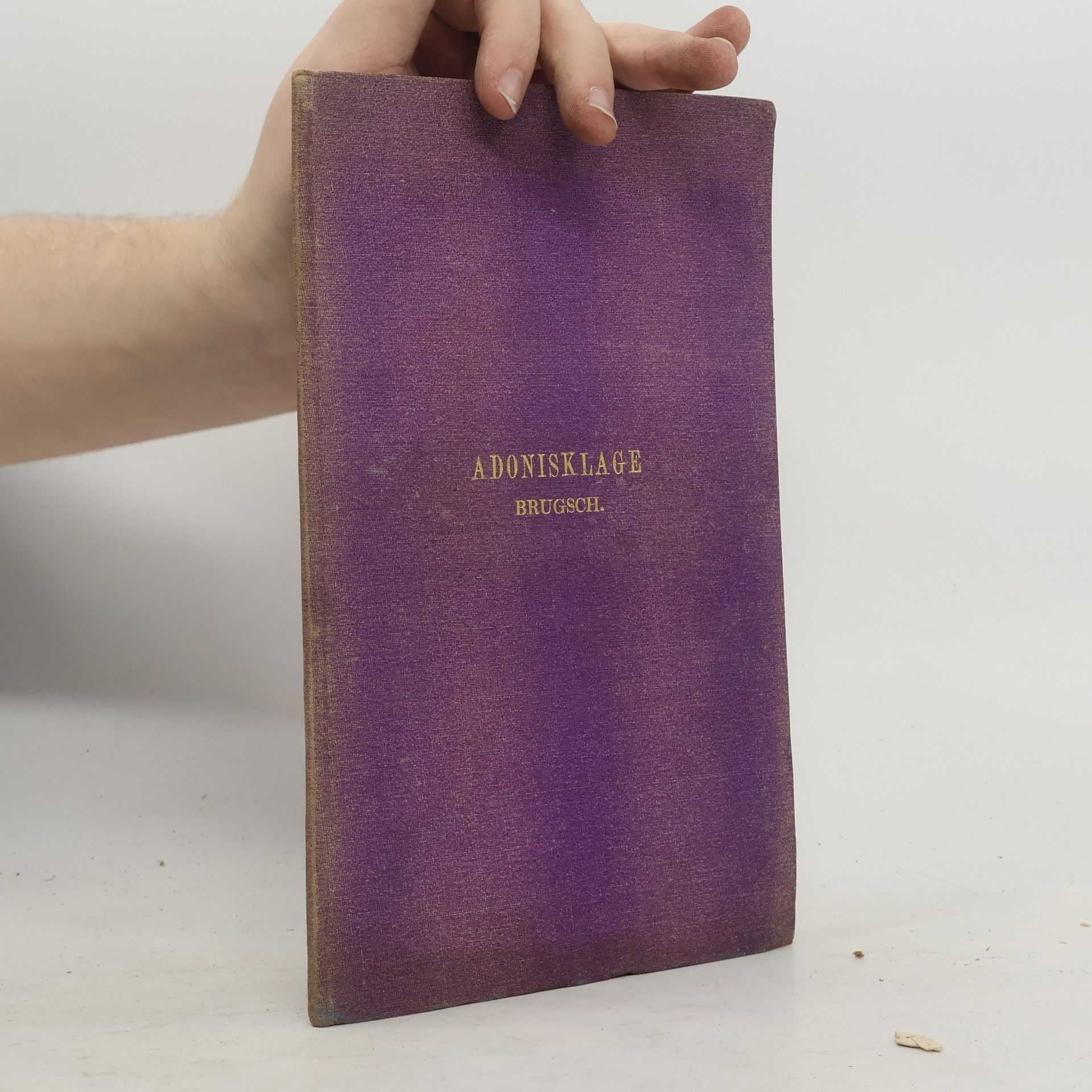 Die Adonisklage und das Linoslied