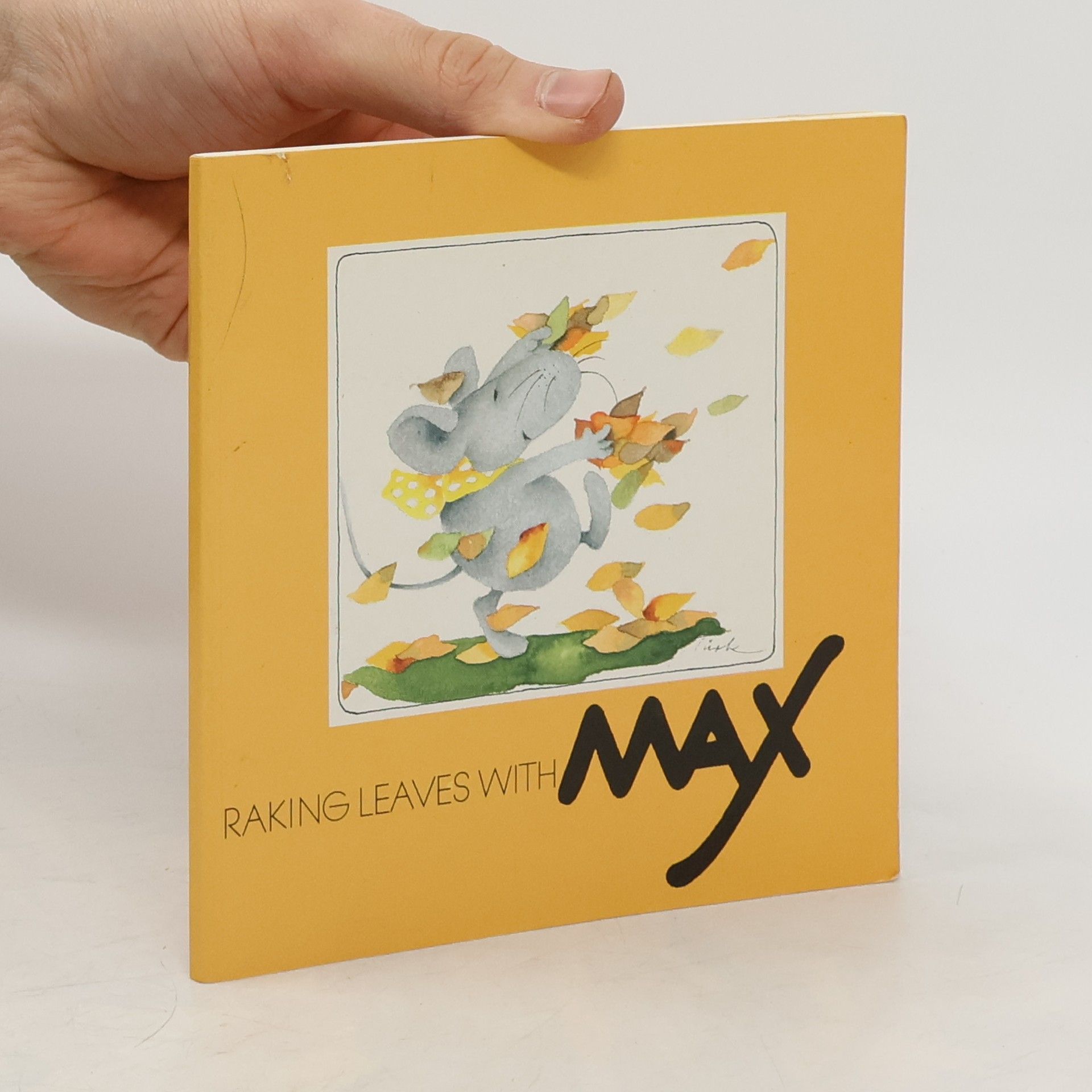 Raking Leaves With Max