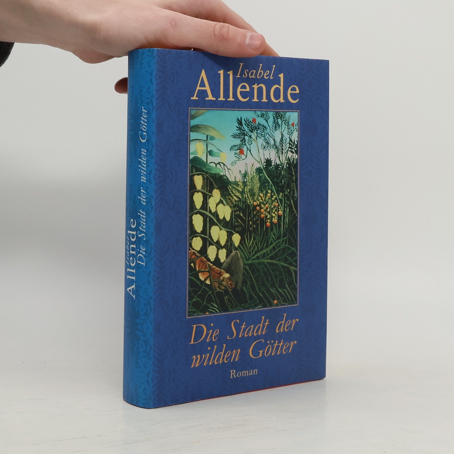 Isabel Allende Die Stadt der wilden Götter