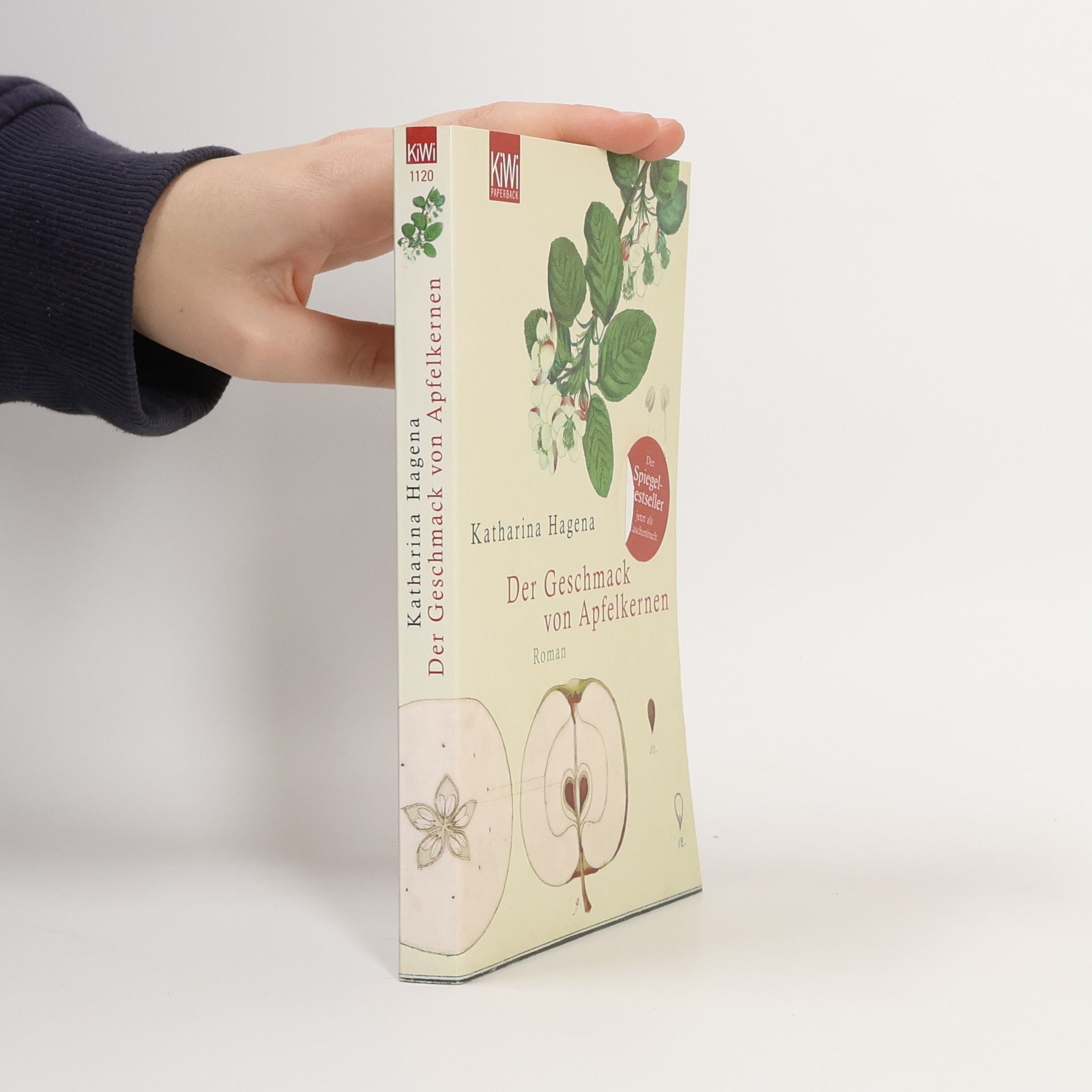 Katharina Hagena Der Geschmack von Apfelkernen