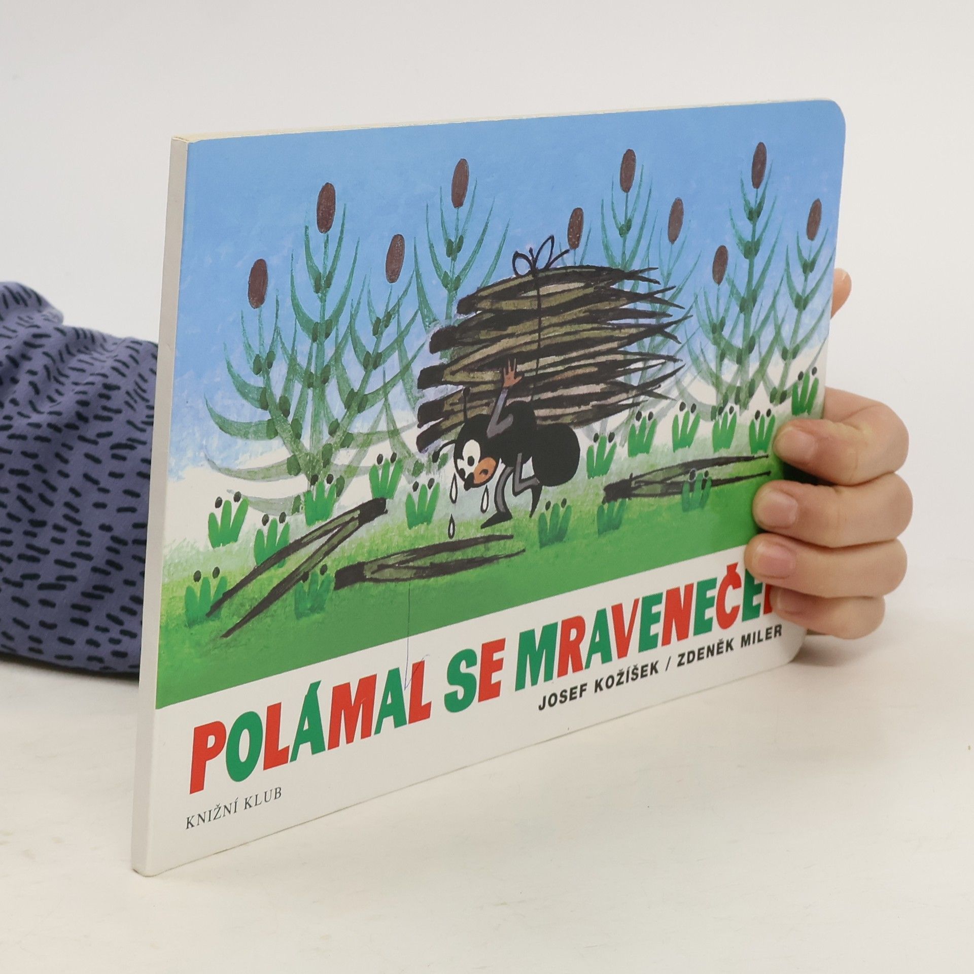 Polámal se mraveneček