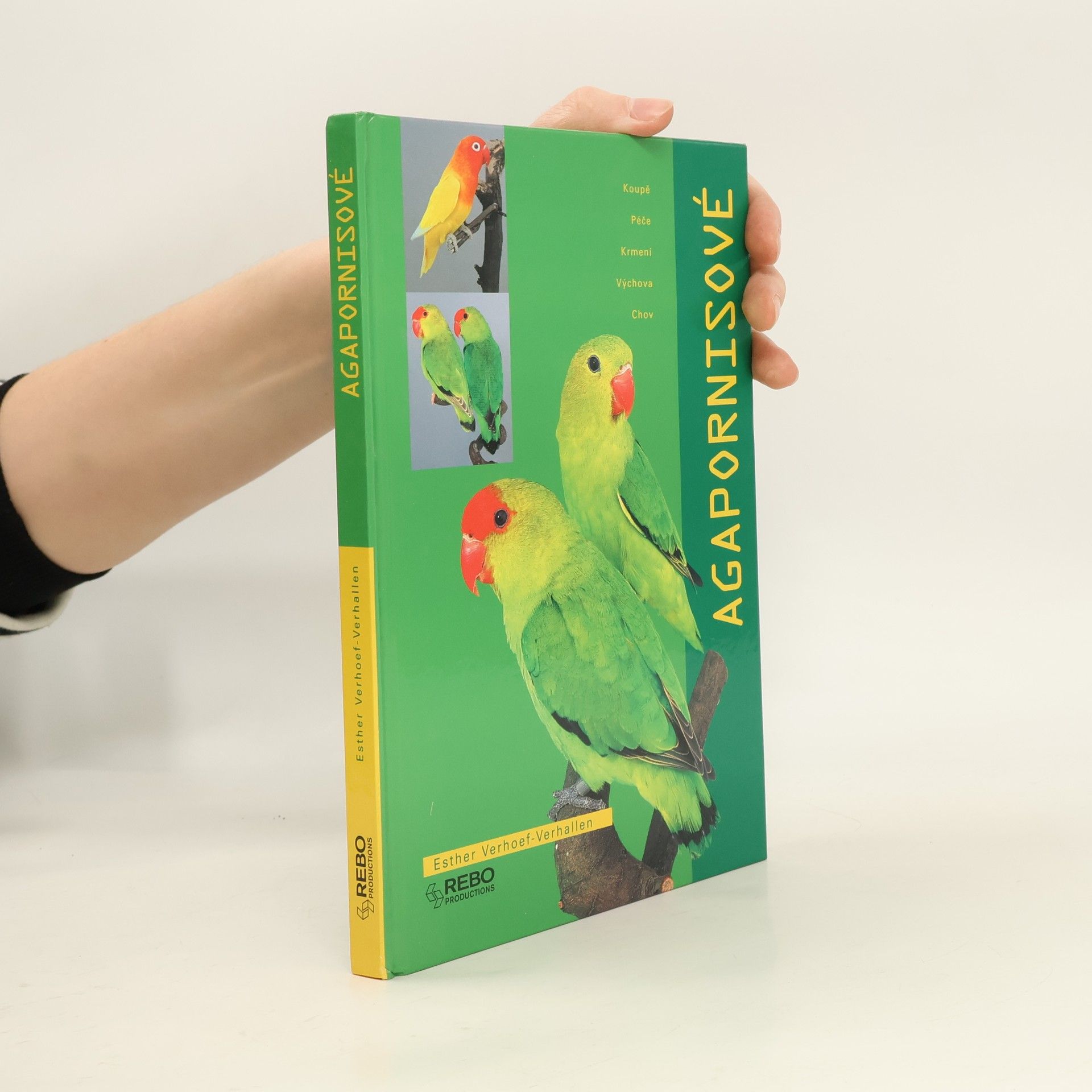 Berry Verhoef Agapornisové