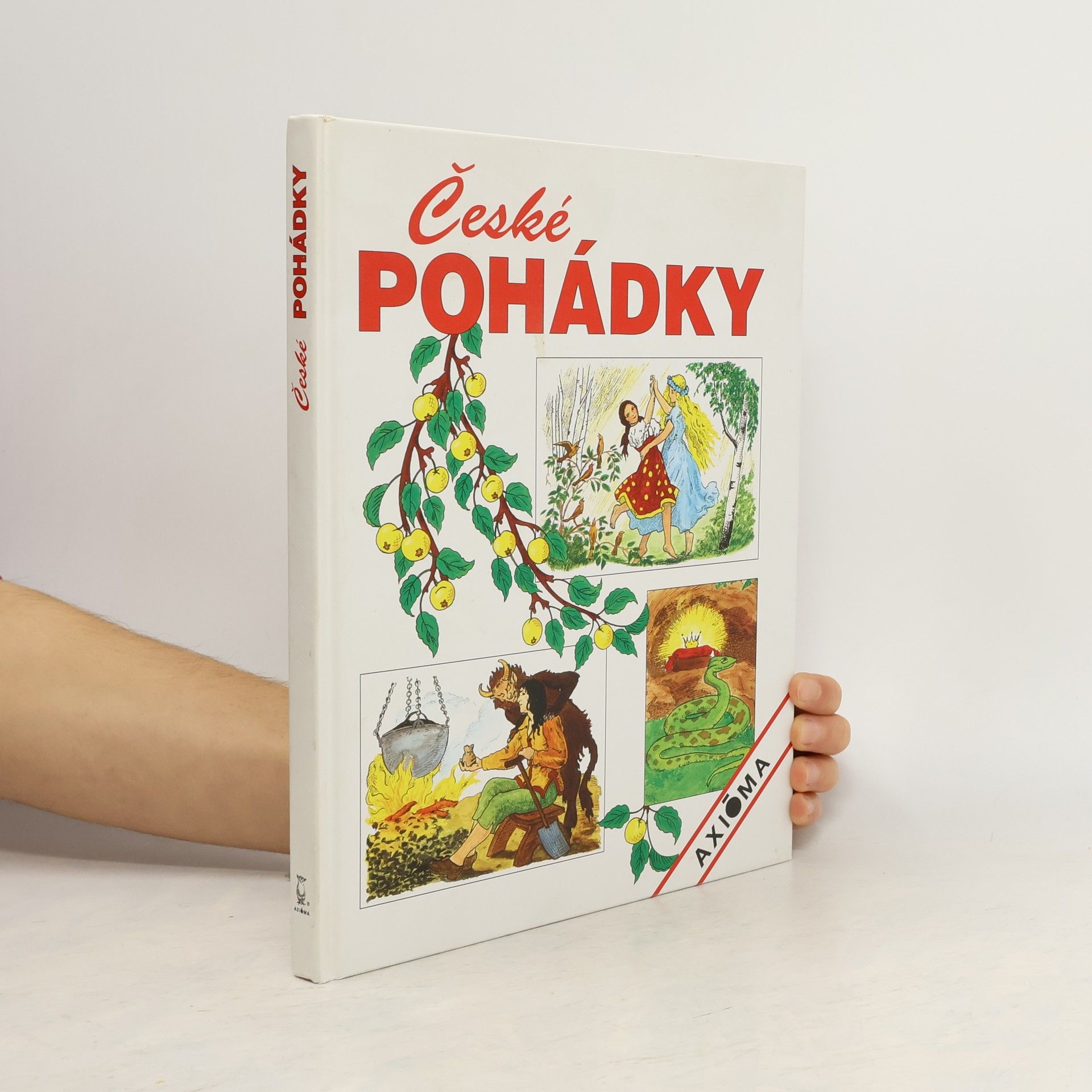 Collectif d'auteurs České pohádky