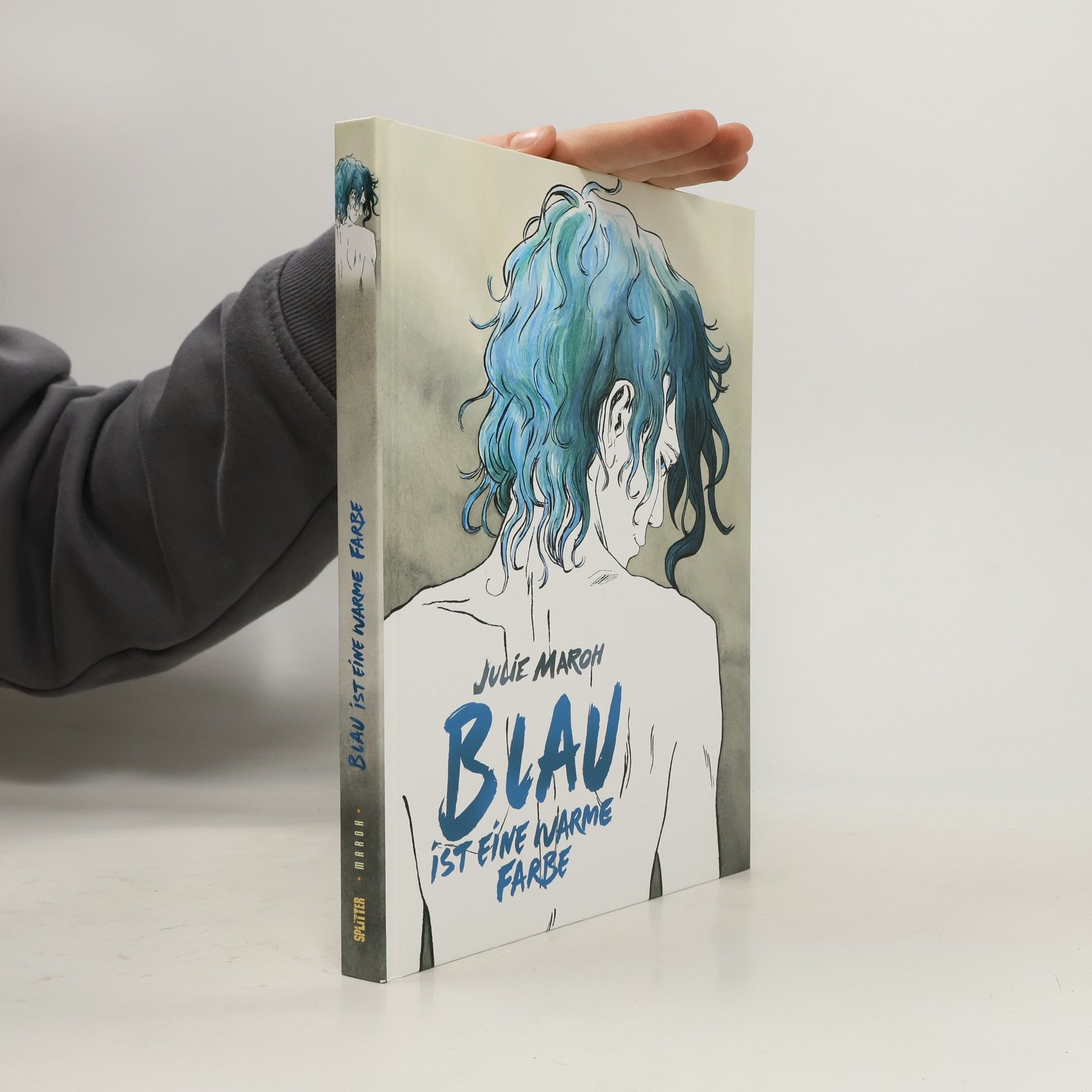 Julie Maroh Blau ist eine warme Farbe